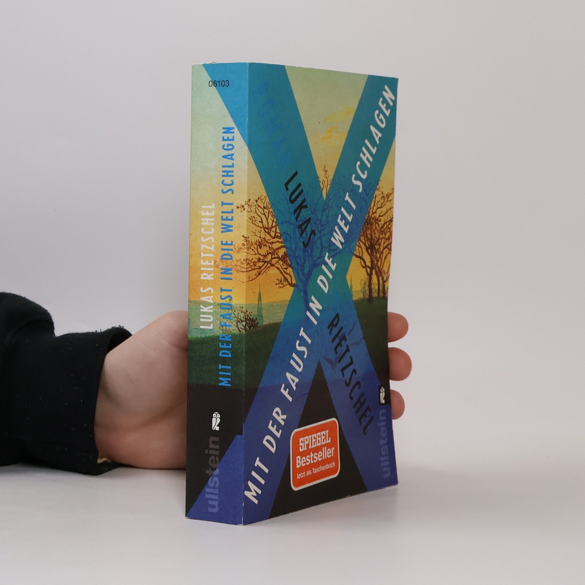 Lukas Rietzschel Mit der Faust in die Welt schlagen : Roman