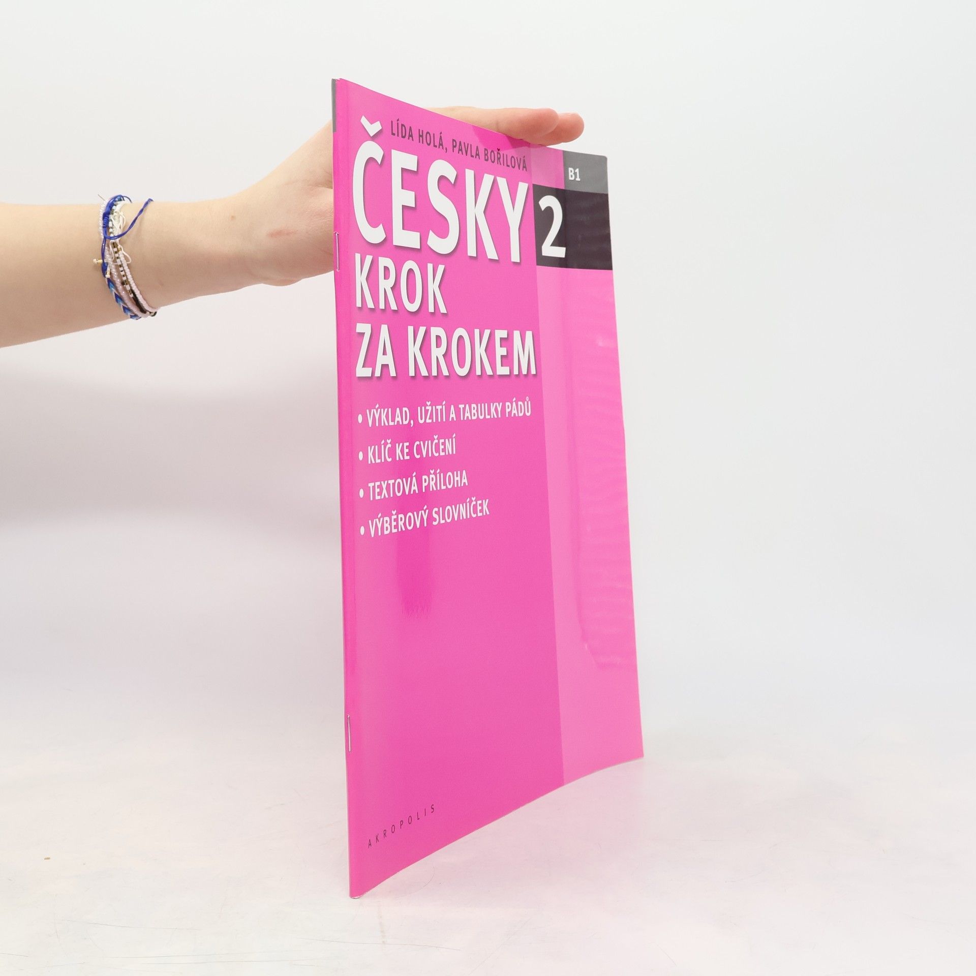 Lída Holá Česky krok za krokem 2. B1 (Příloha)