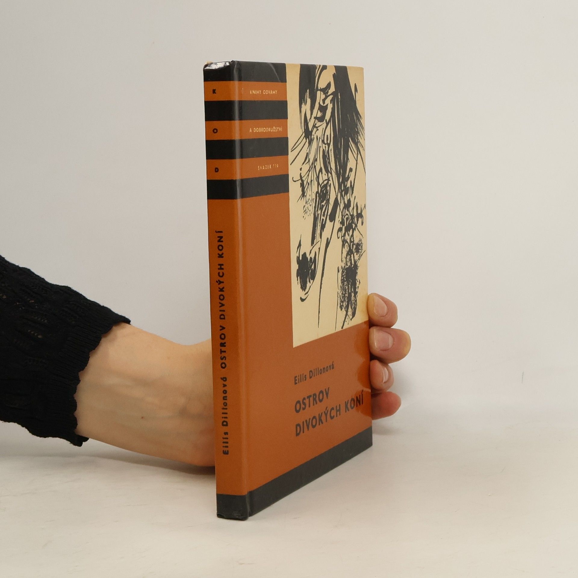 Ostrov divokých koní