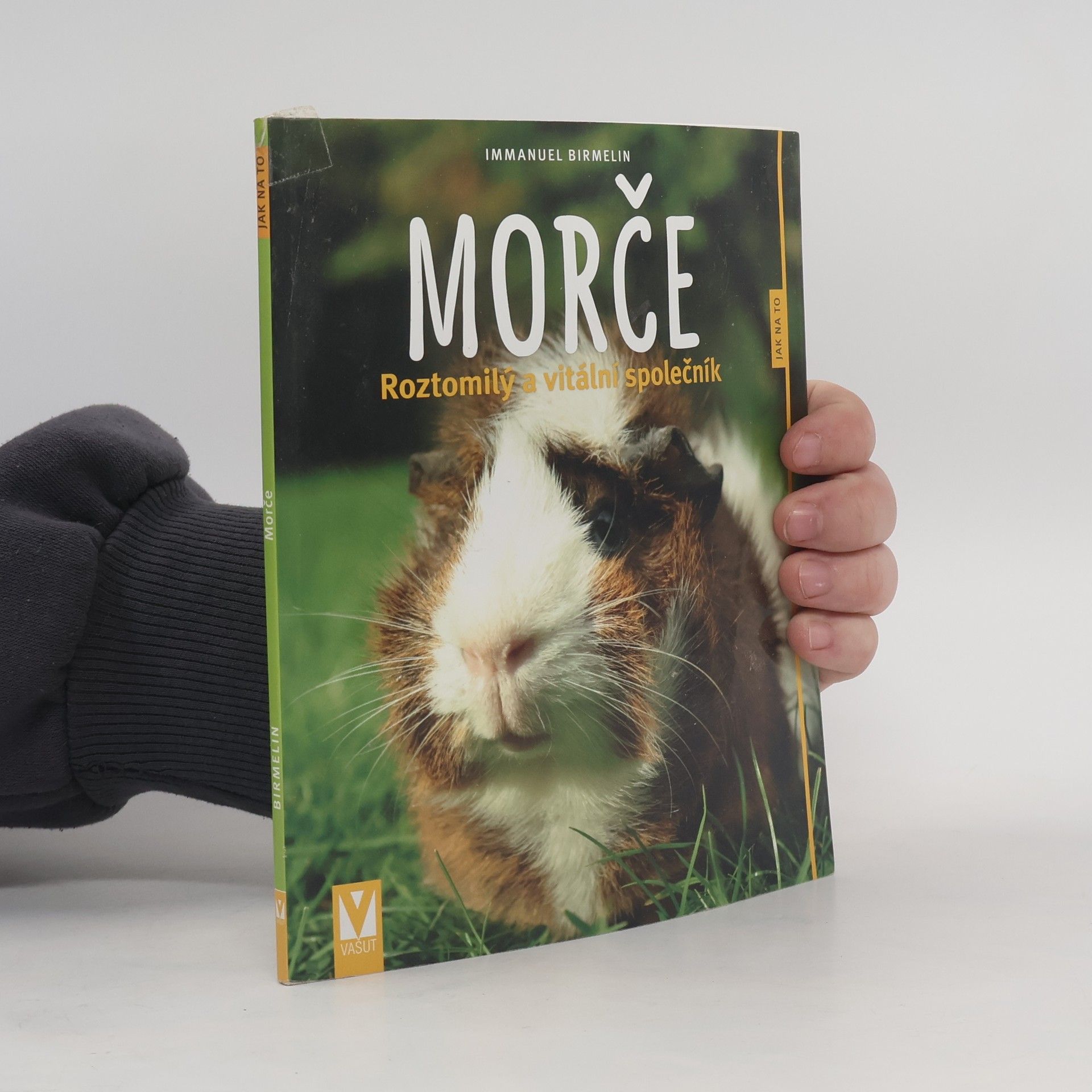 Immanuel Birmelin Morče. Roztomilý a vitální společník