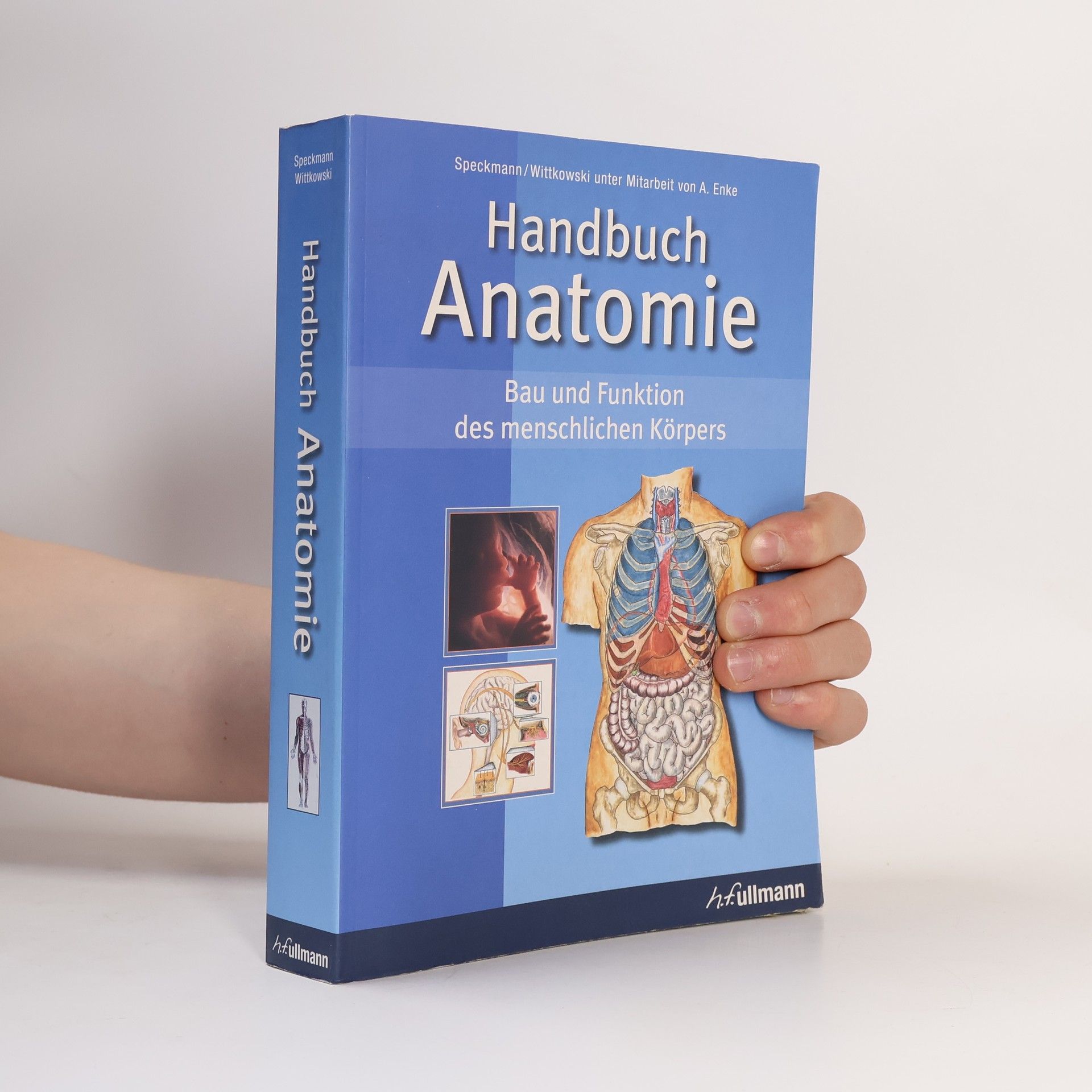 Erwin-Josef Speckmann Handbuch Anatomie