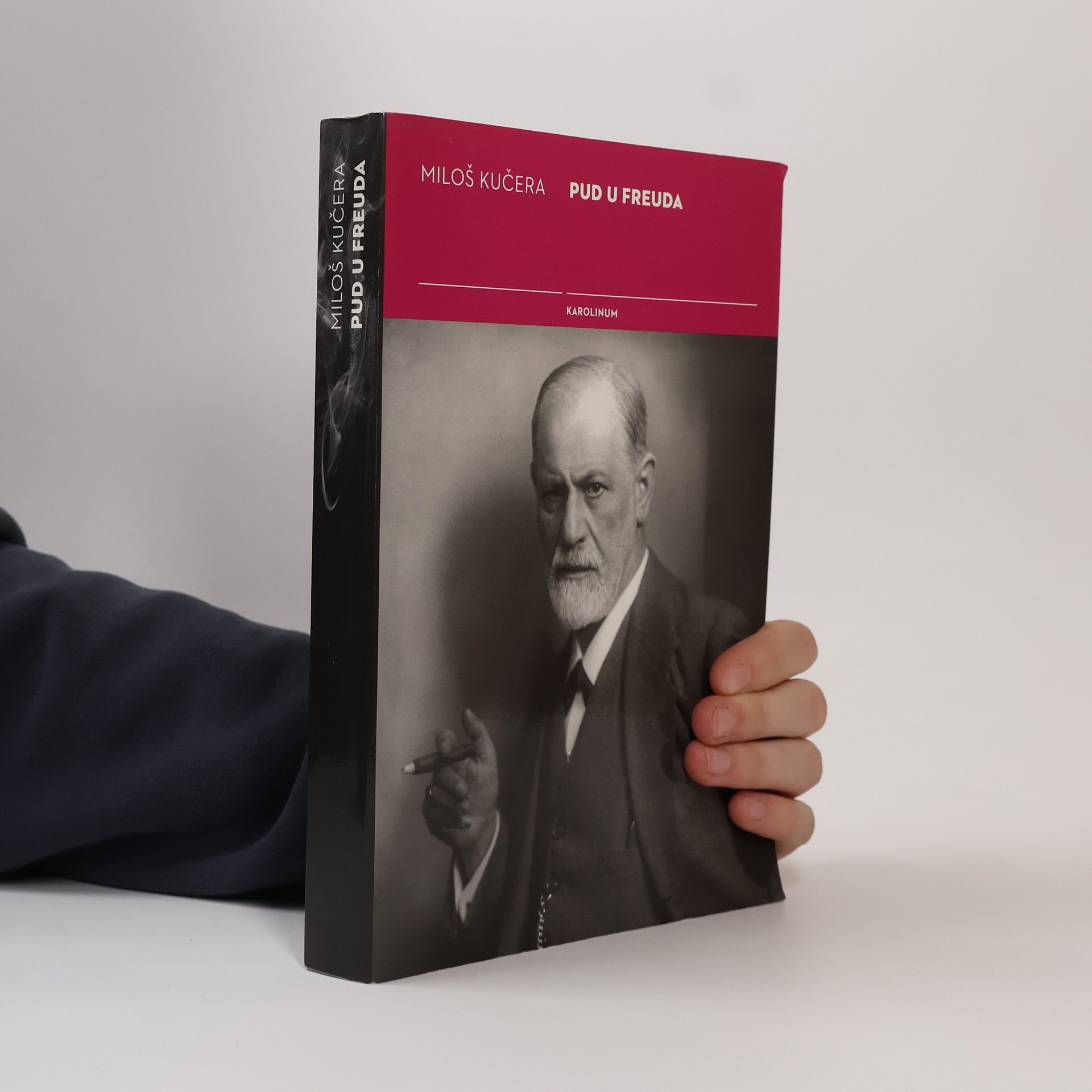 Miloš Kučera Pud u Freuda