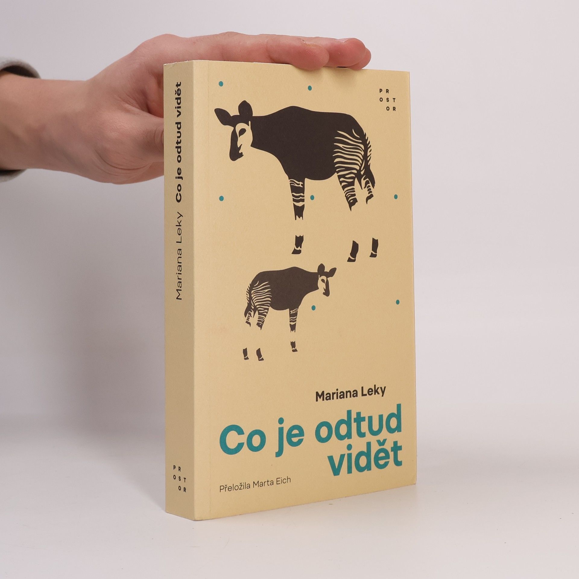 Mariana Leky Co je odtud vidět