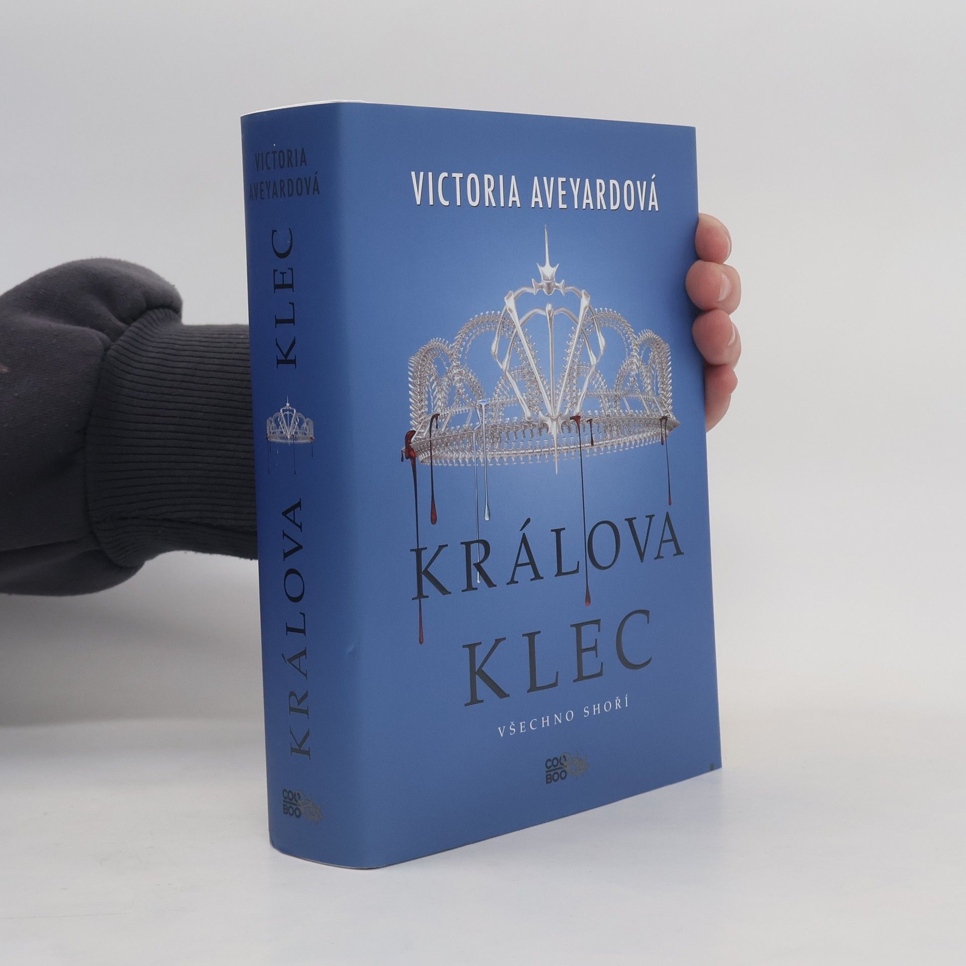 Victoria Aveyard Králova klec