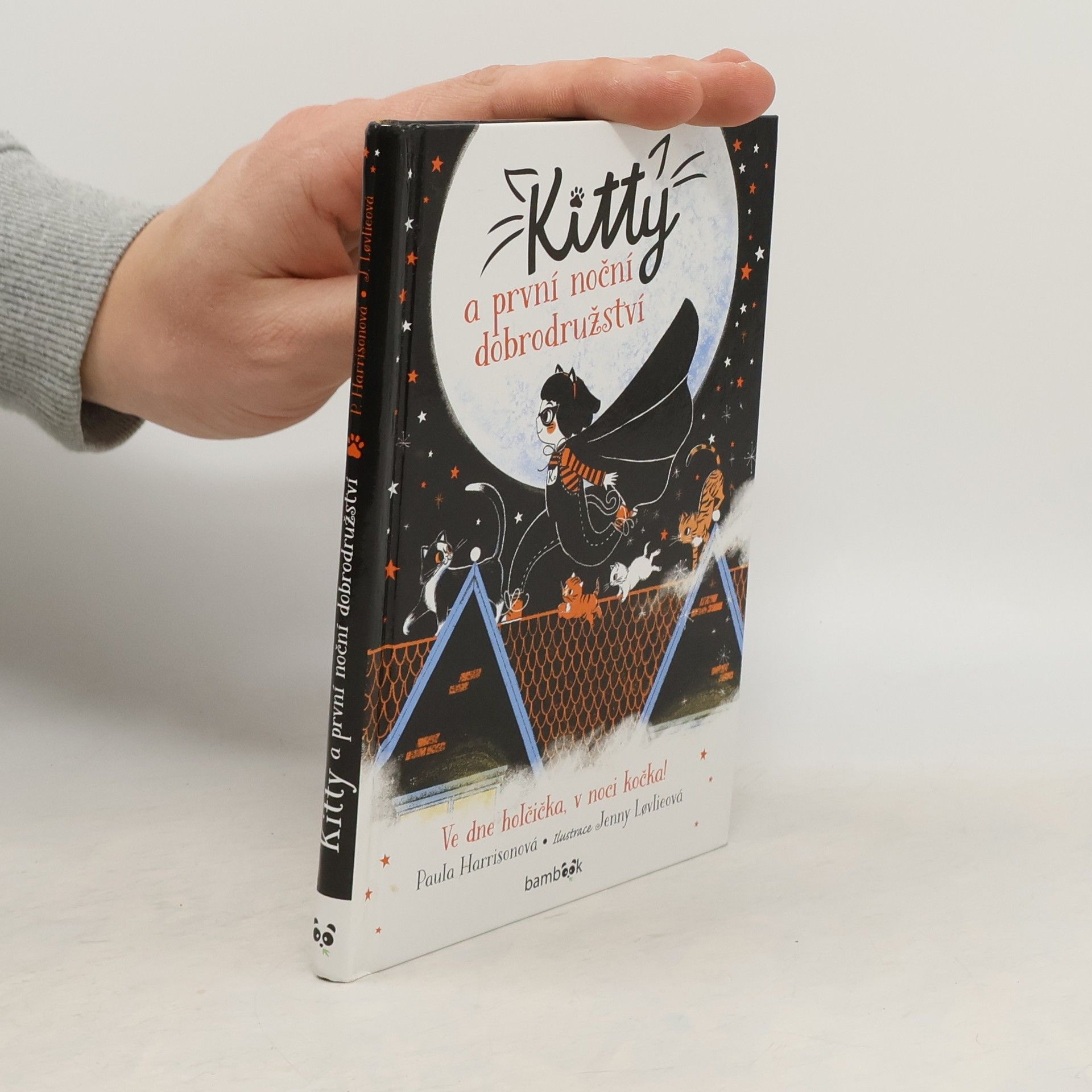 Paula Harrison Kitty a první noční dobrodružství