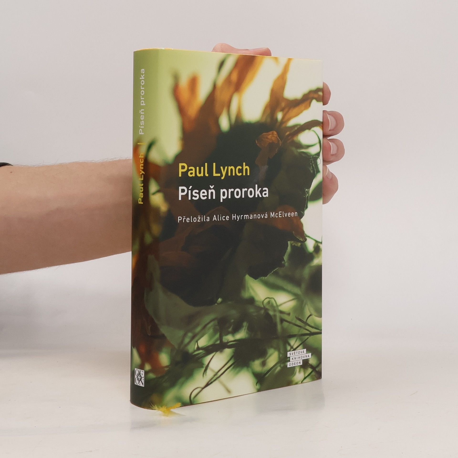 Paul Lynch Píseň proroka