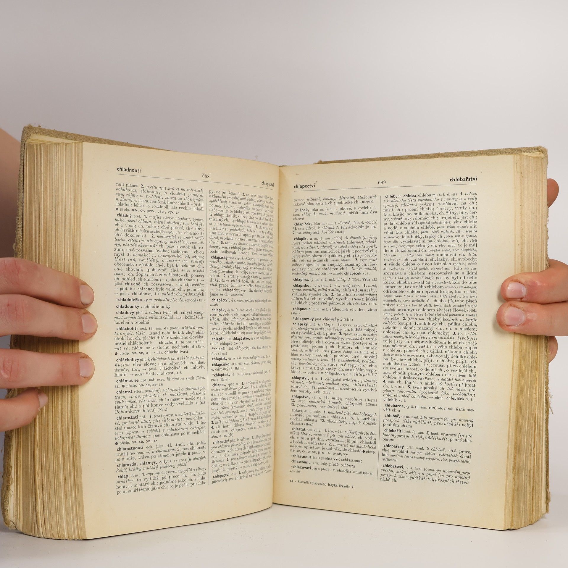 Various authors Slovník spisovného jazyka českého I. A-M