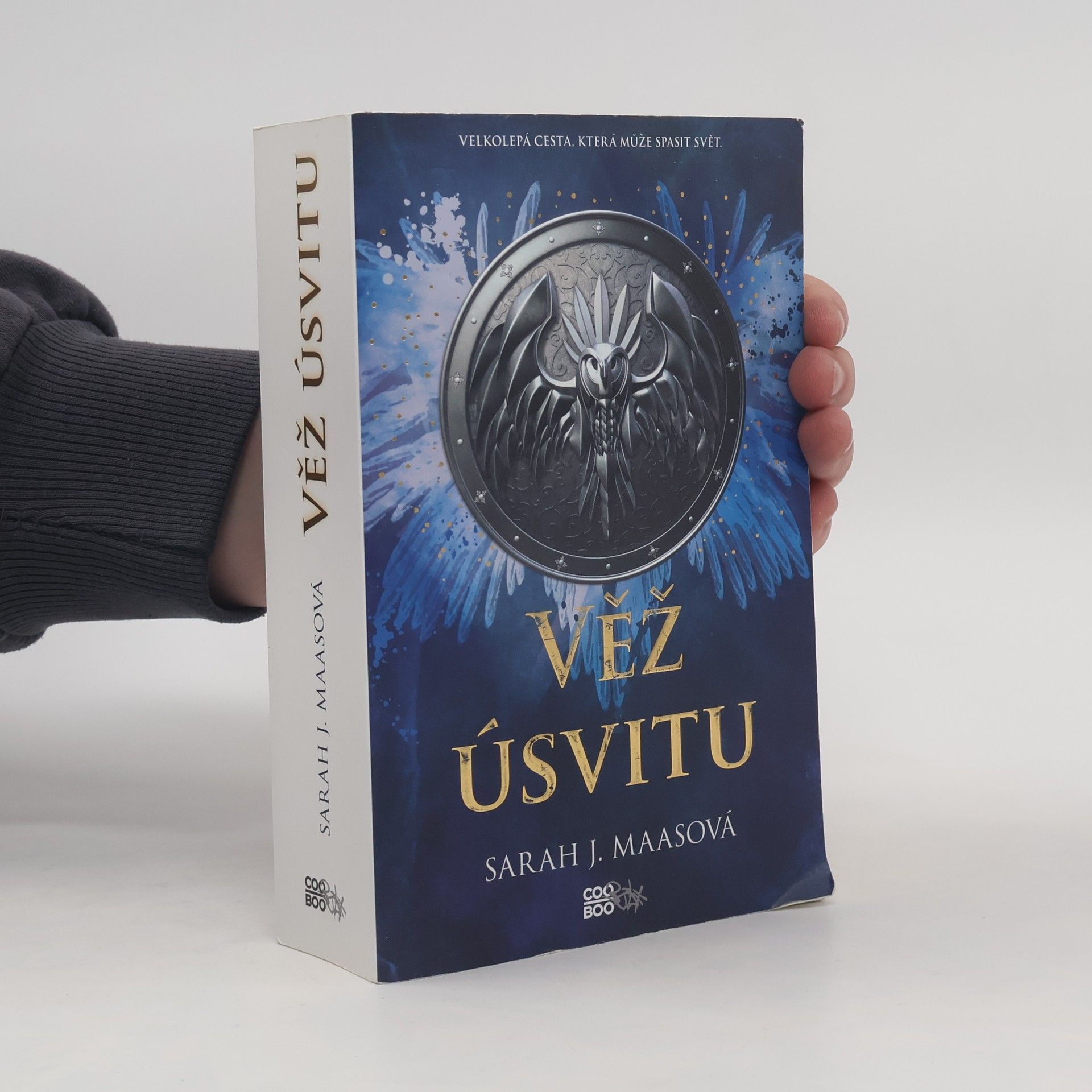 Sarah J. Maas Věž úsvitu