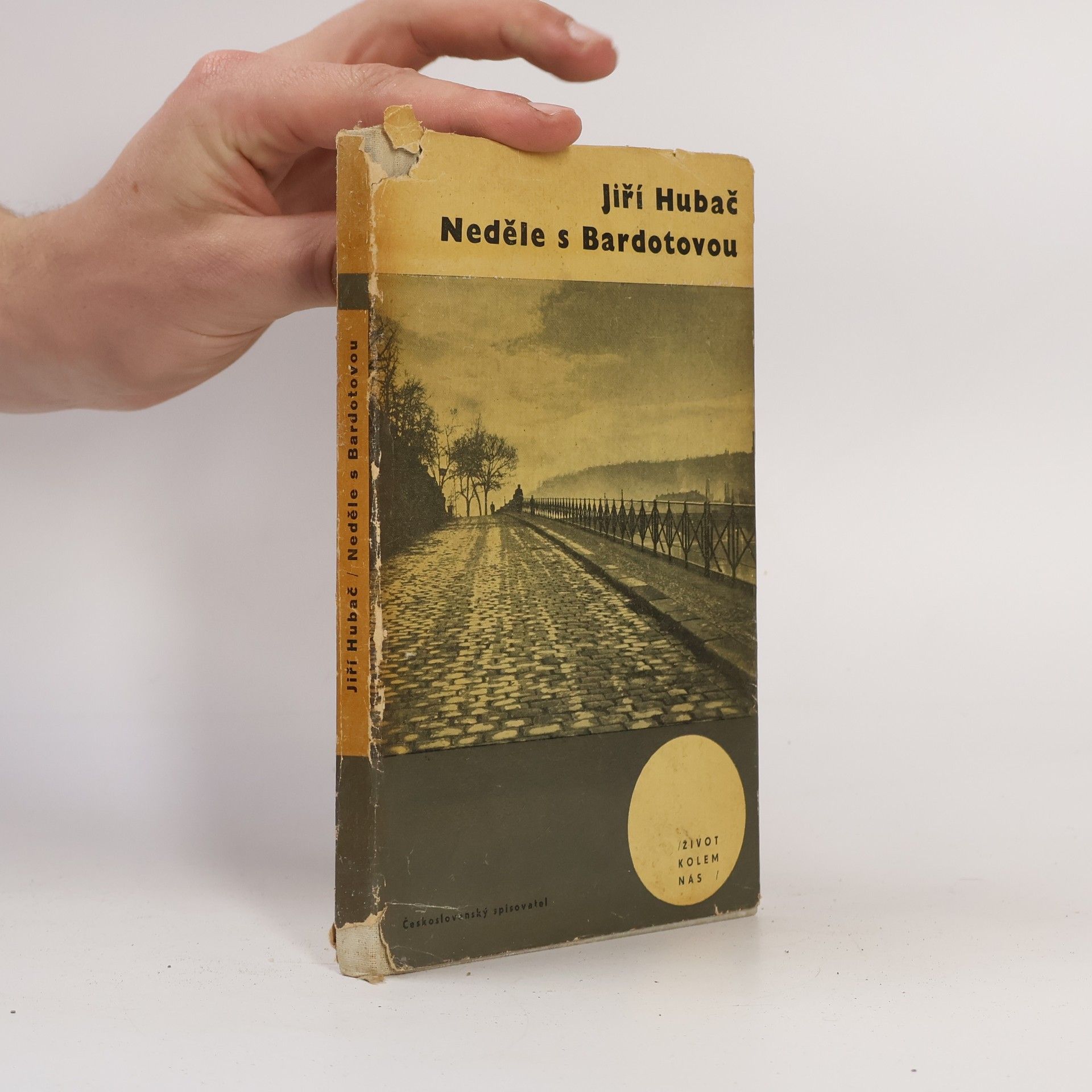 Neděle s Bardotovou