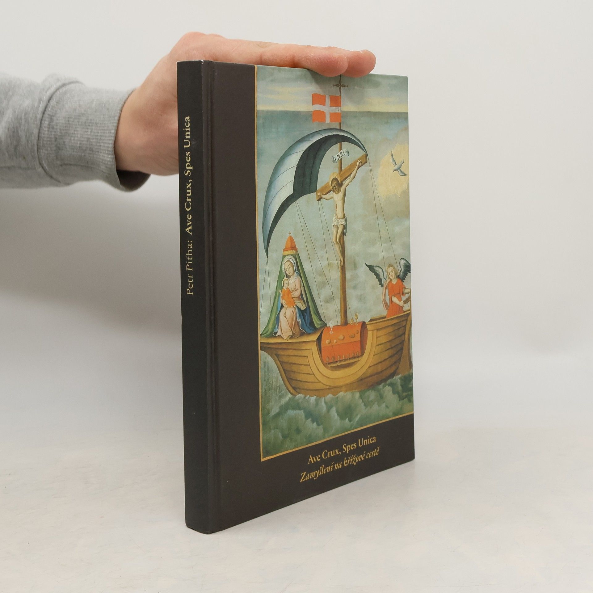 Petr Piťha Ave crux, spes unica : zamyšlení na křížové cestě