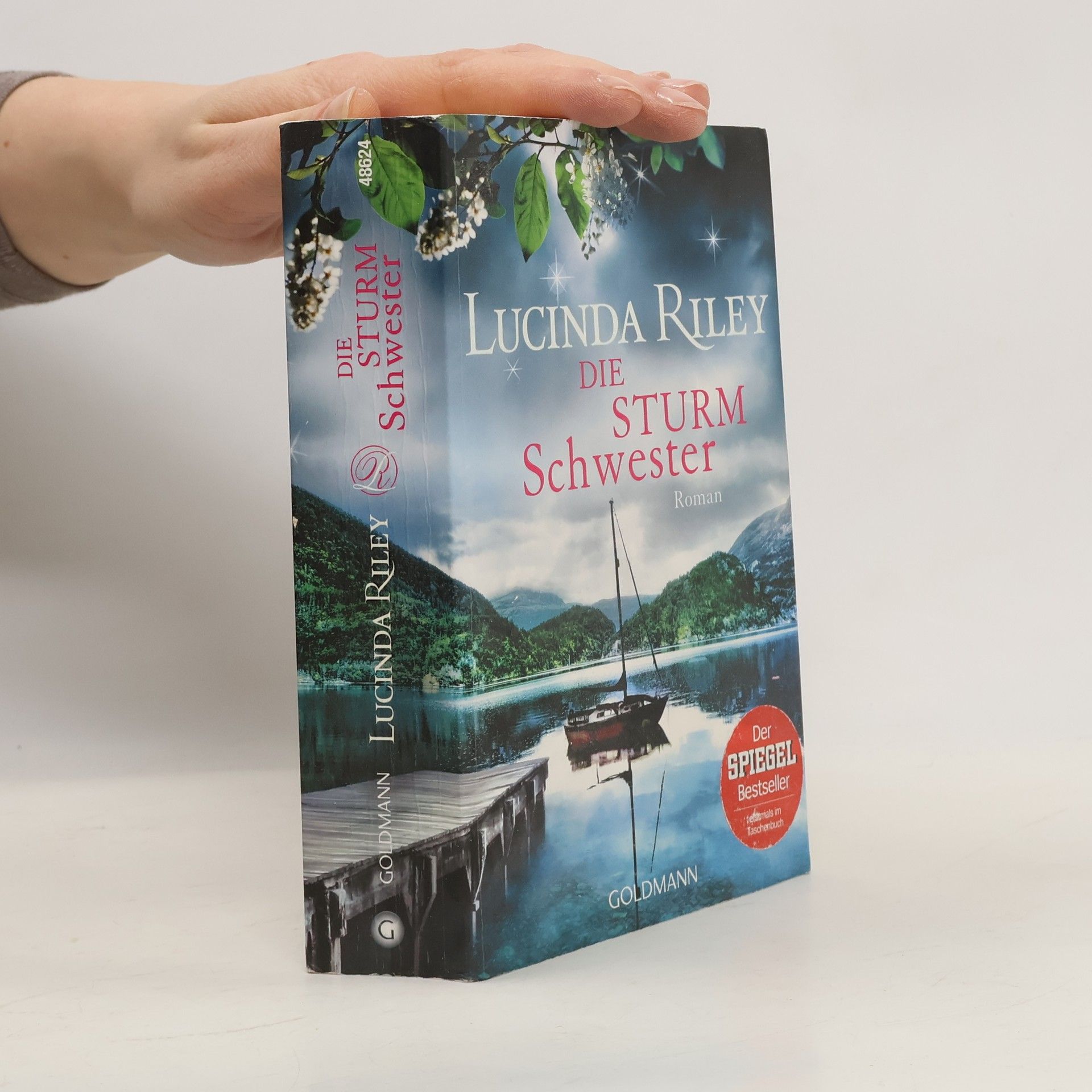 Lucinda Riley Die Sturmschwester