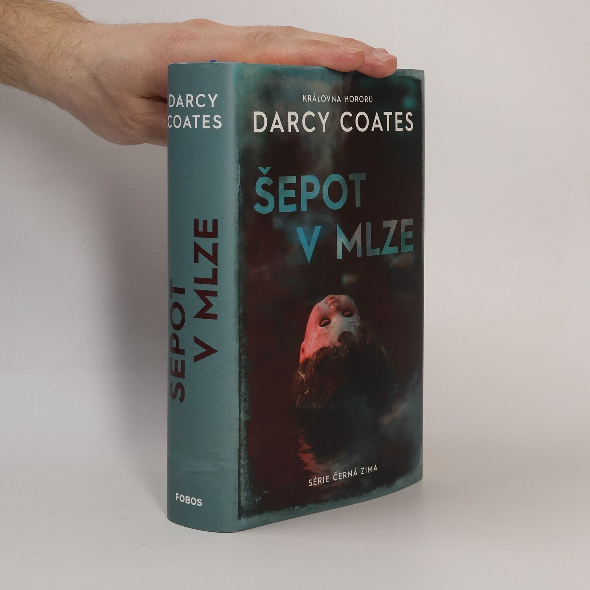 Darcy Coates Šepot v mlze