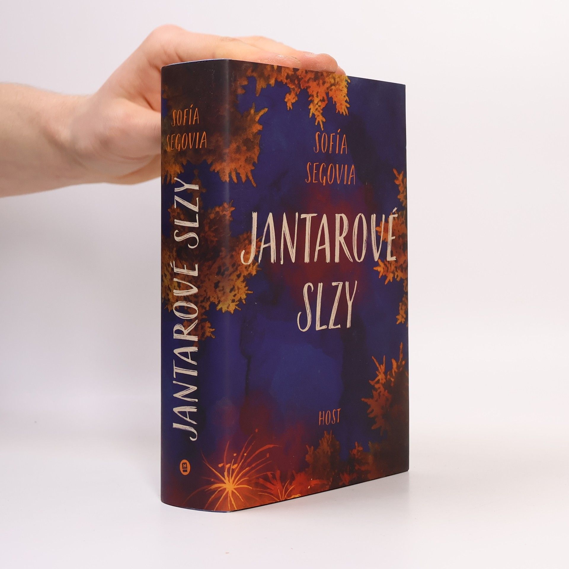 Romana Bičíková Jantarové slzy