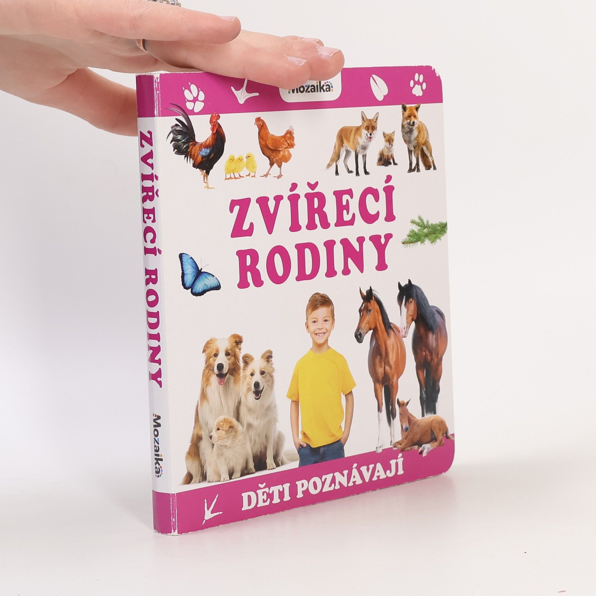 Autorenkollektiv Zvířecí rodiny