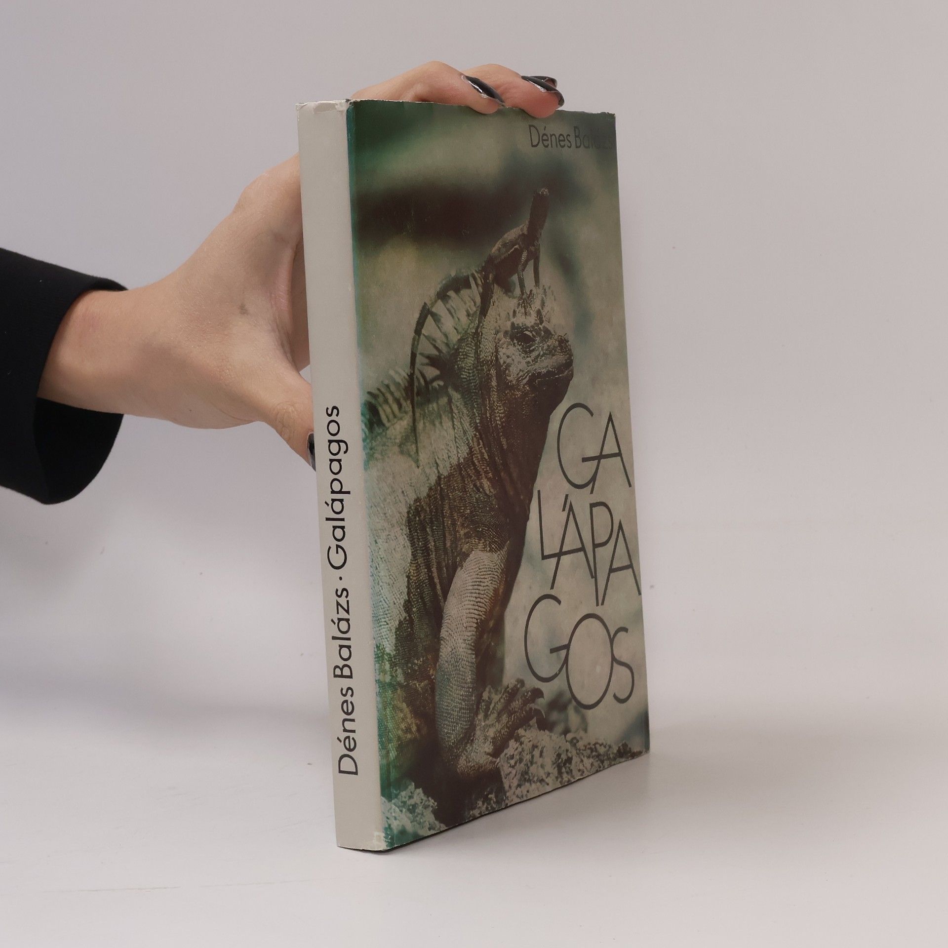 Dénes Balázs Galápagos