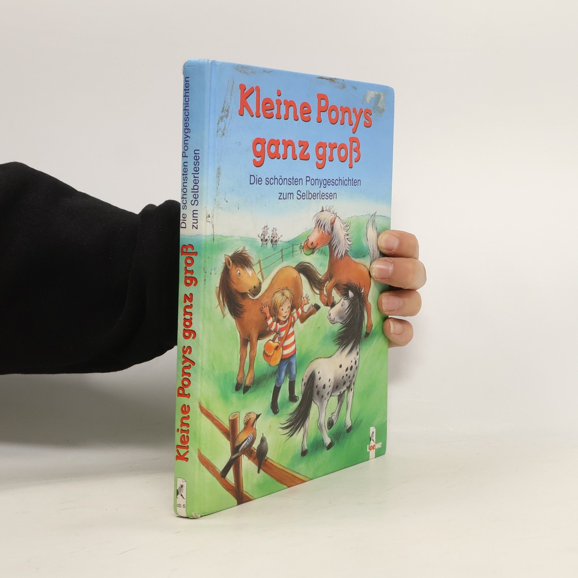 Collectif d'auteurs Kleine Ponys ganz groß