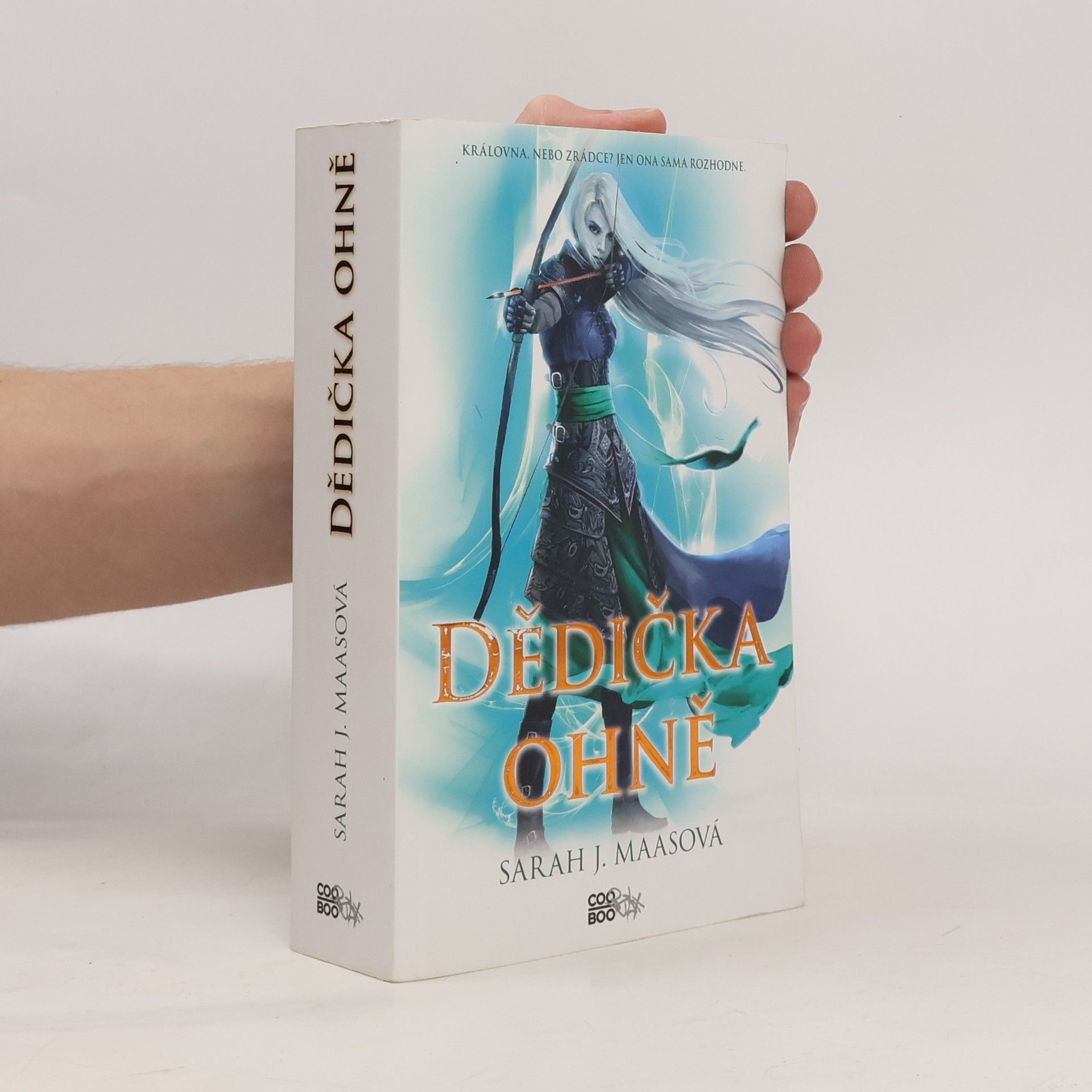 Sarah J. Maas Dědička ohně