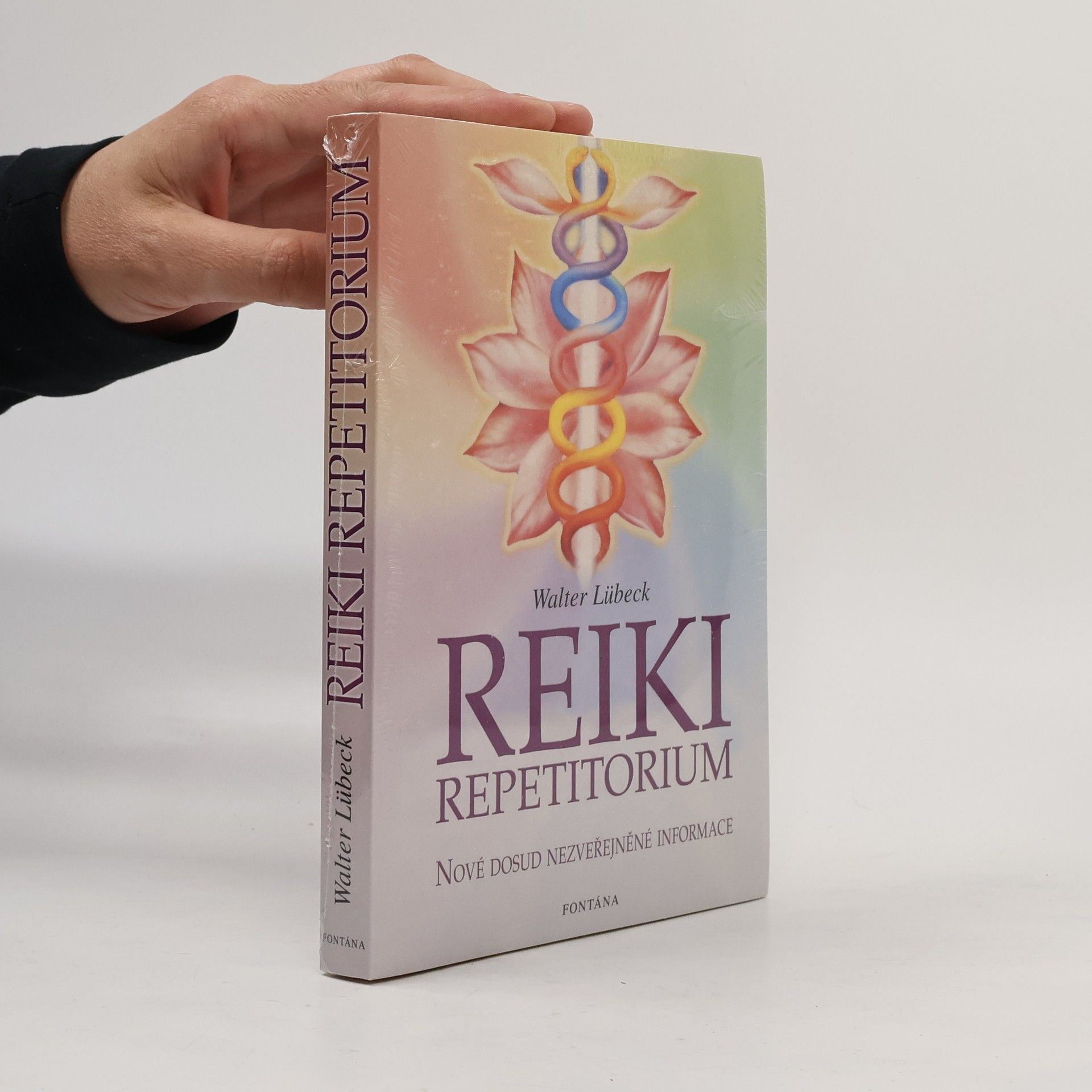 Walter Lübeck Repetitorium reiki