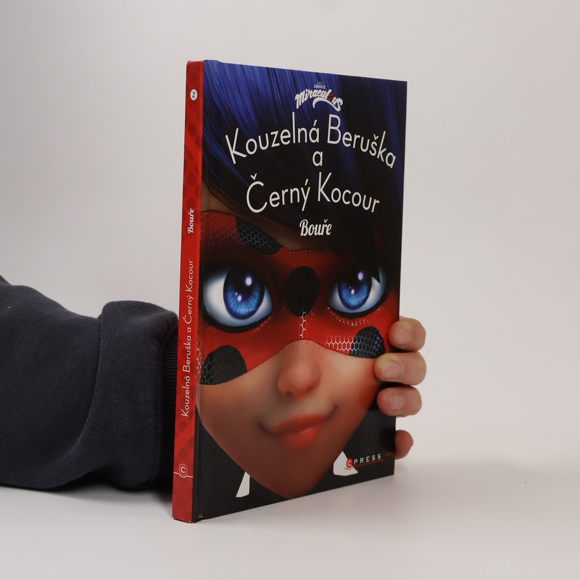 Kateřina Hošková Kouzelná Beruška a Černý Kocour. Bouře