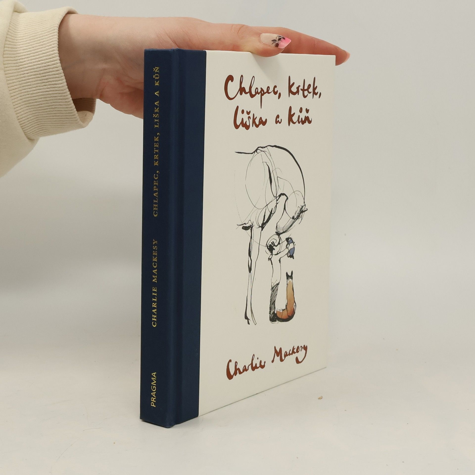 Chlapec, krtek, liška a kůň