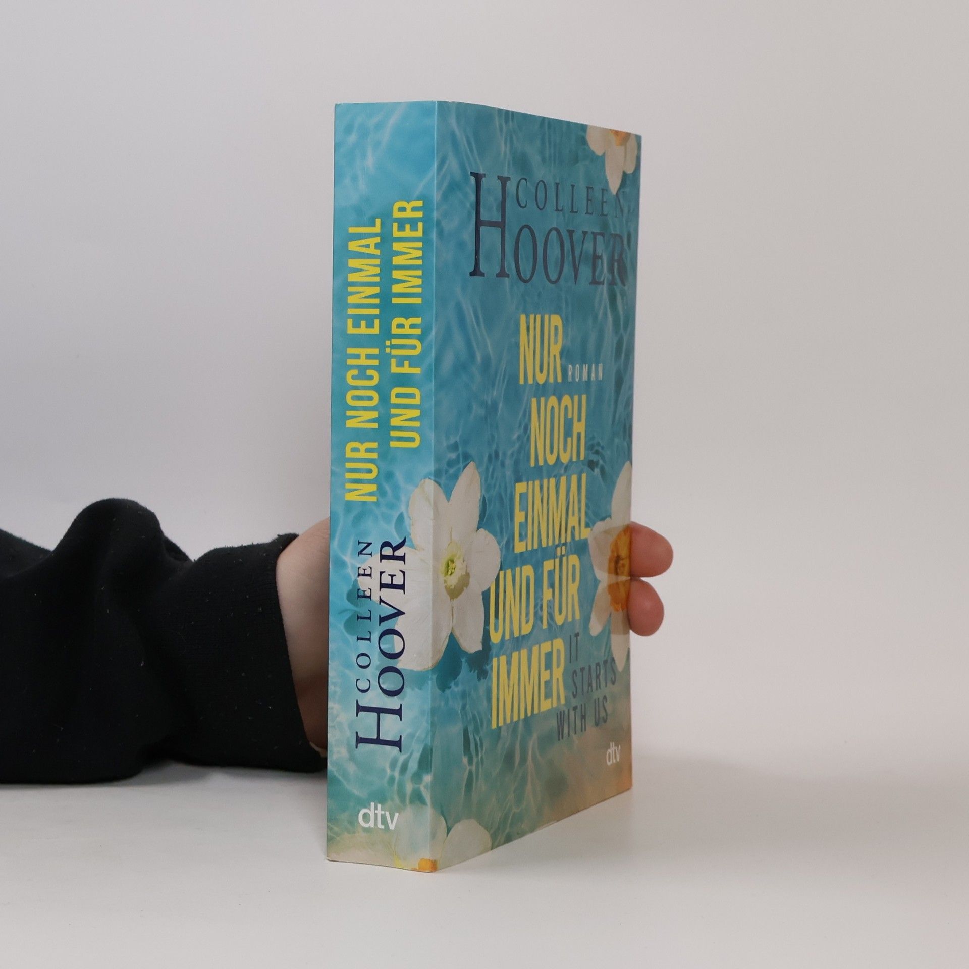 Colleen Hoover Nur noch einmal und für immer