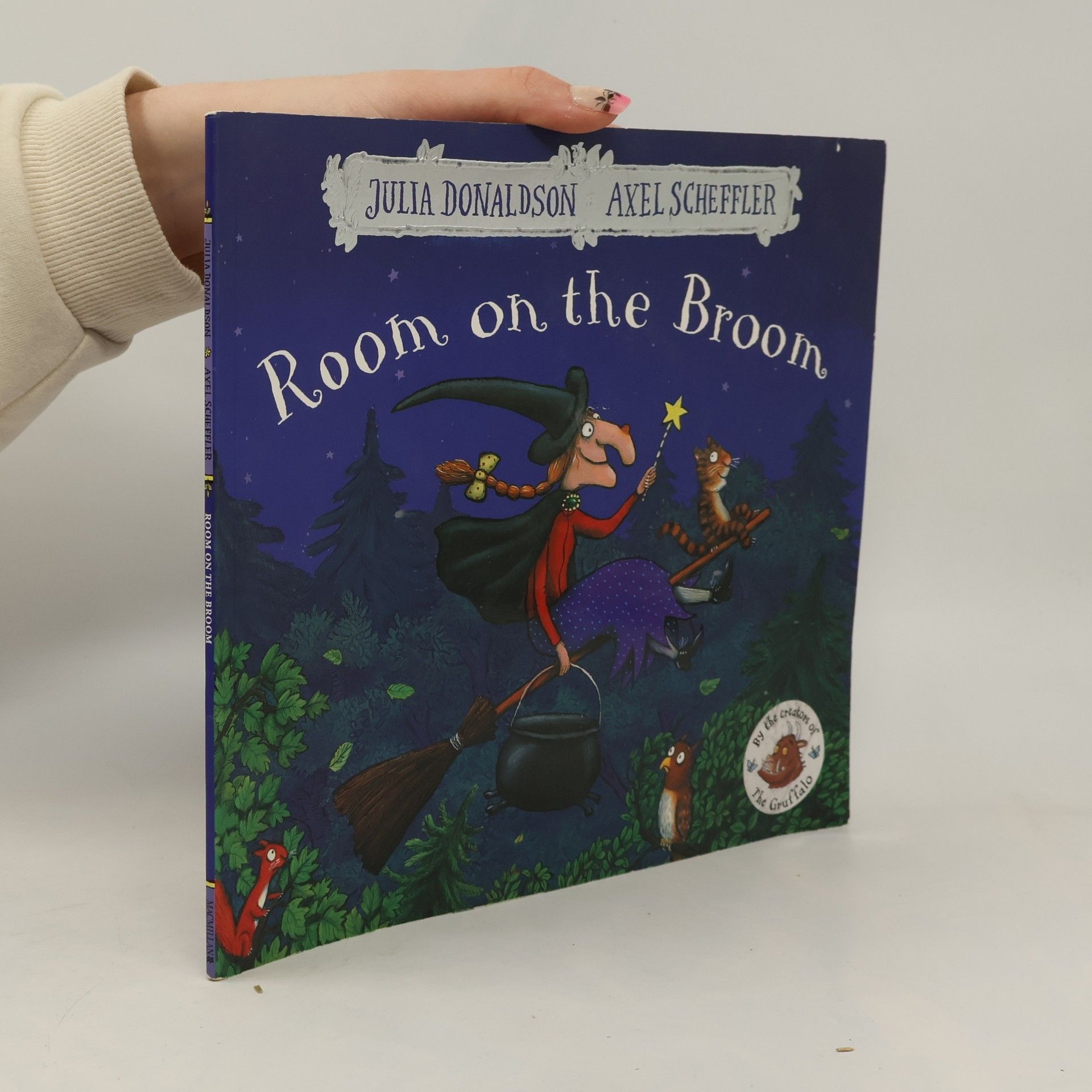 Julia Donaldson Room on the Broom
