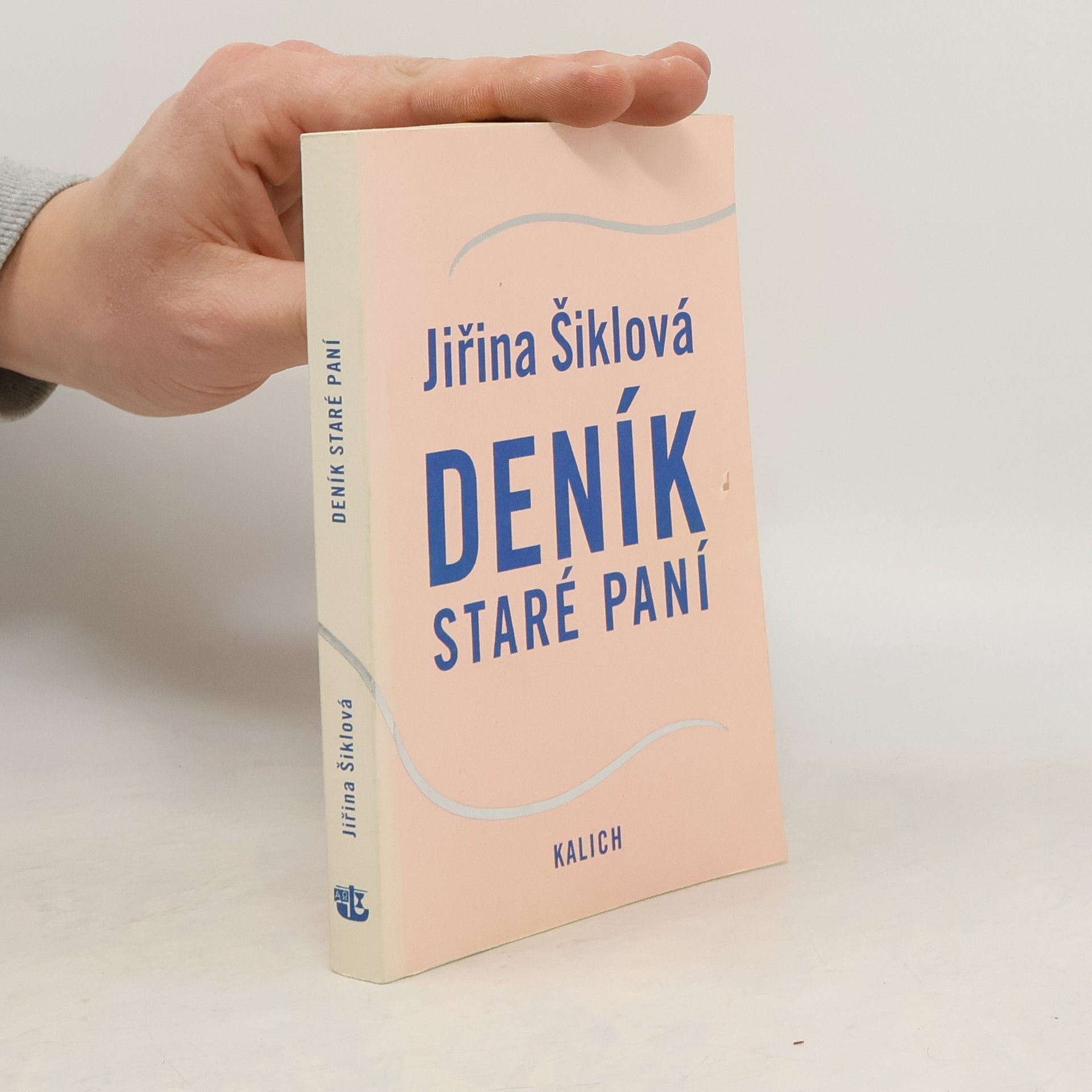 Jiřina Šiklová Deník staré paní