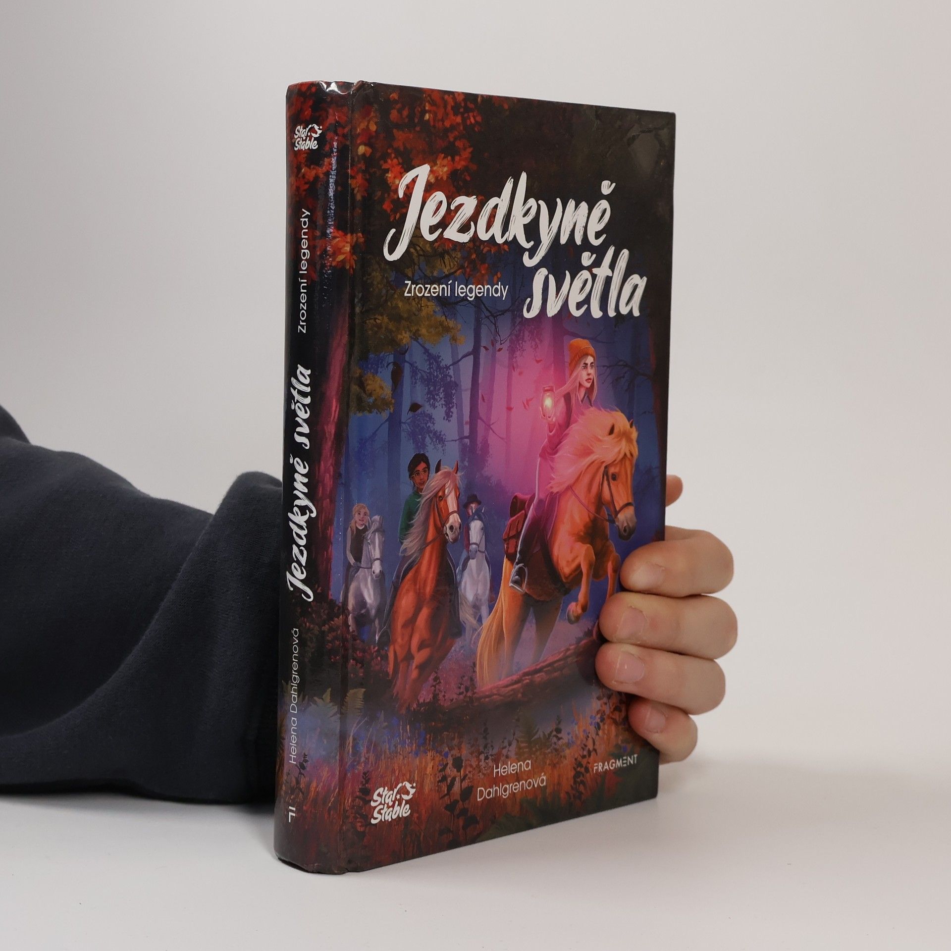 Helena Dahlgren Jezdkyně světla. Zrození legendy