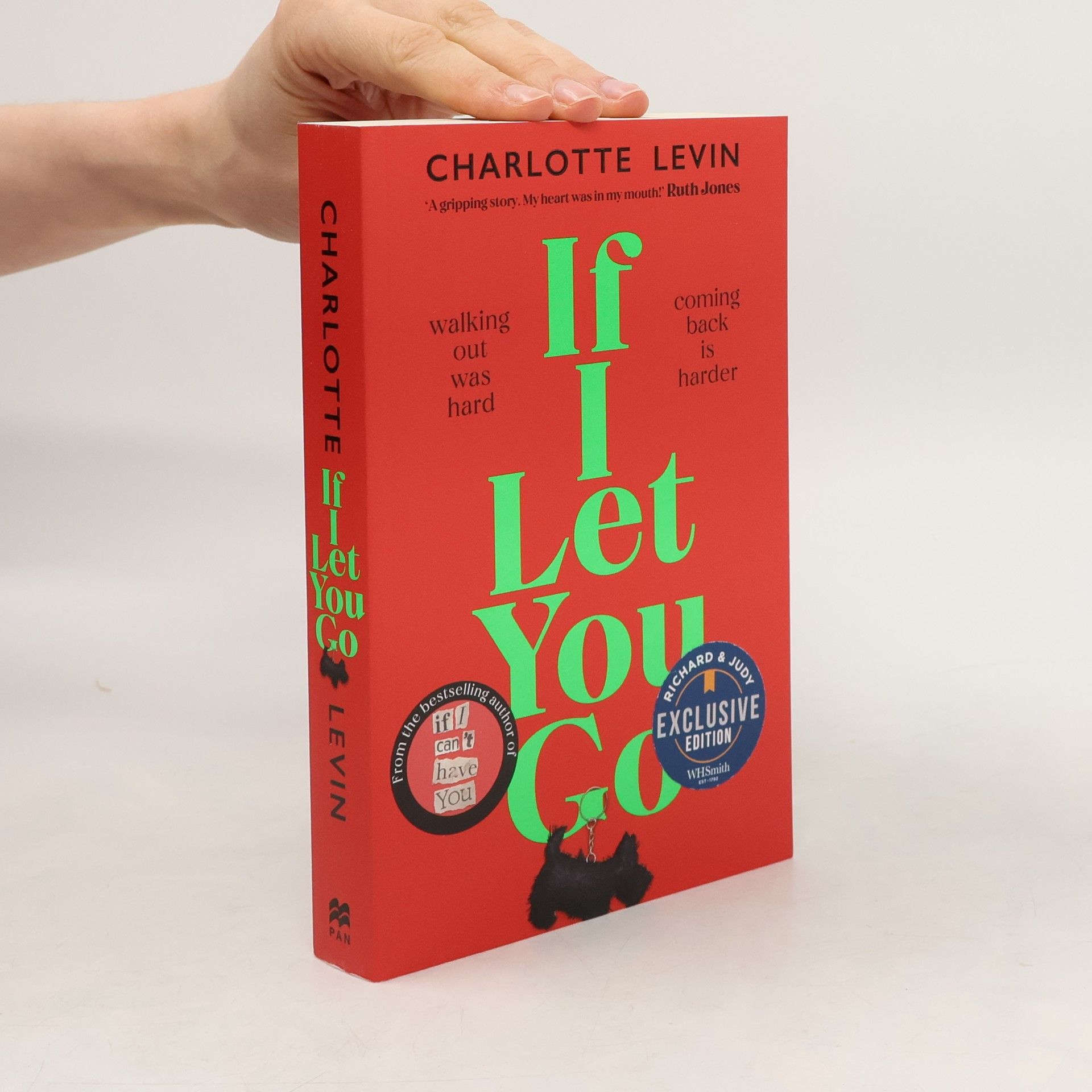 Charlotte Levin If I Let You Go