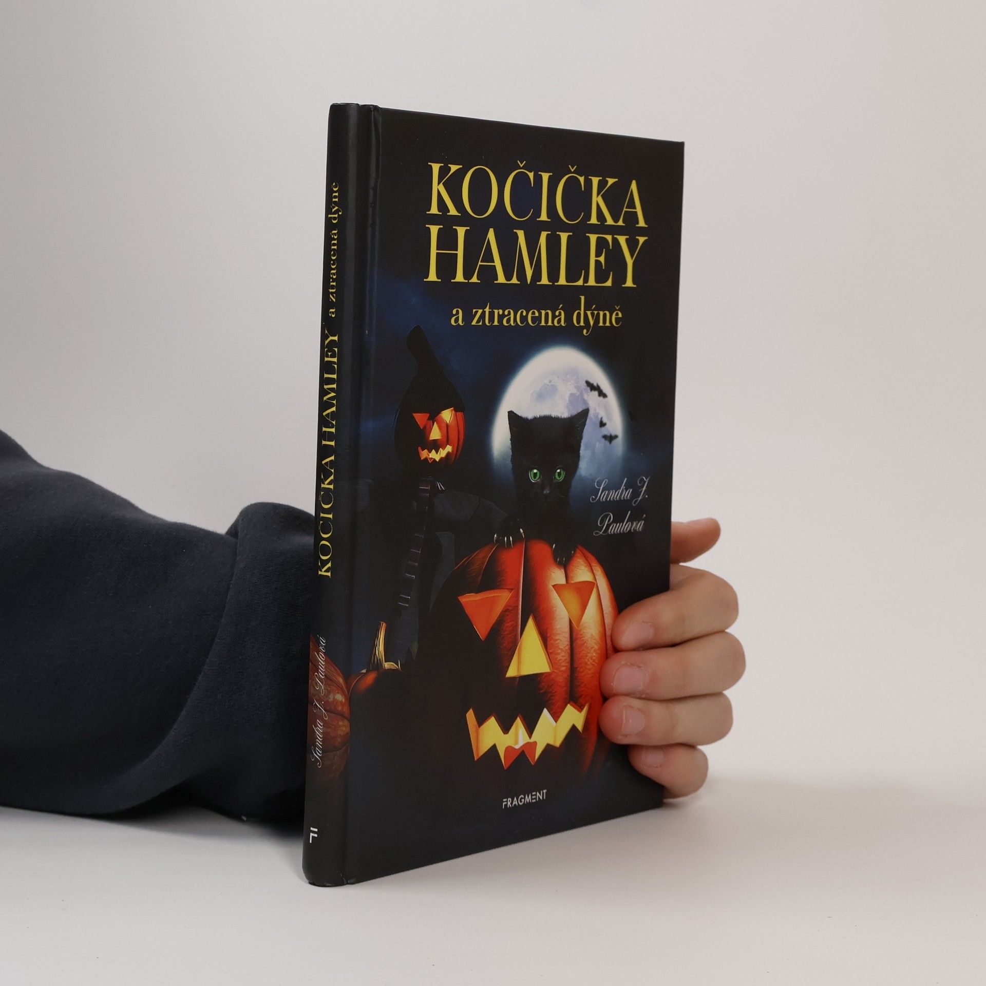 Sandra J. Paul Kočička Hamley a ztracená dýně