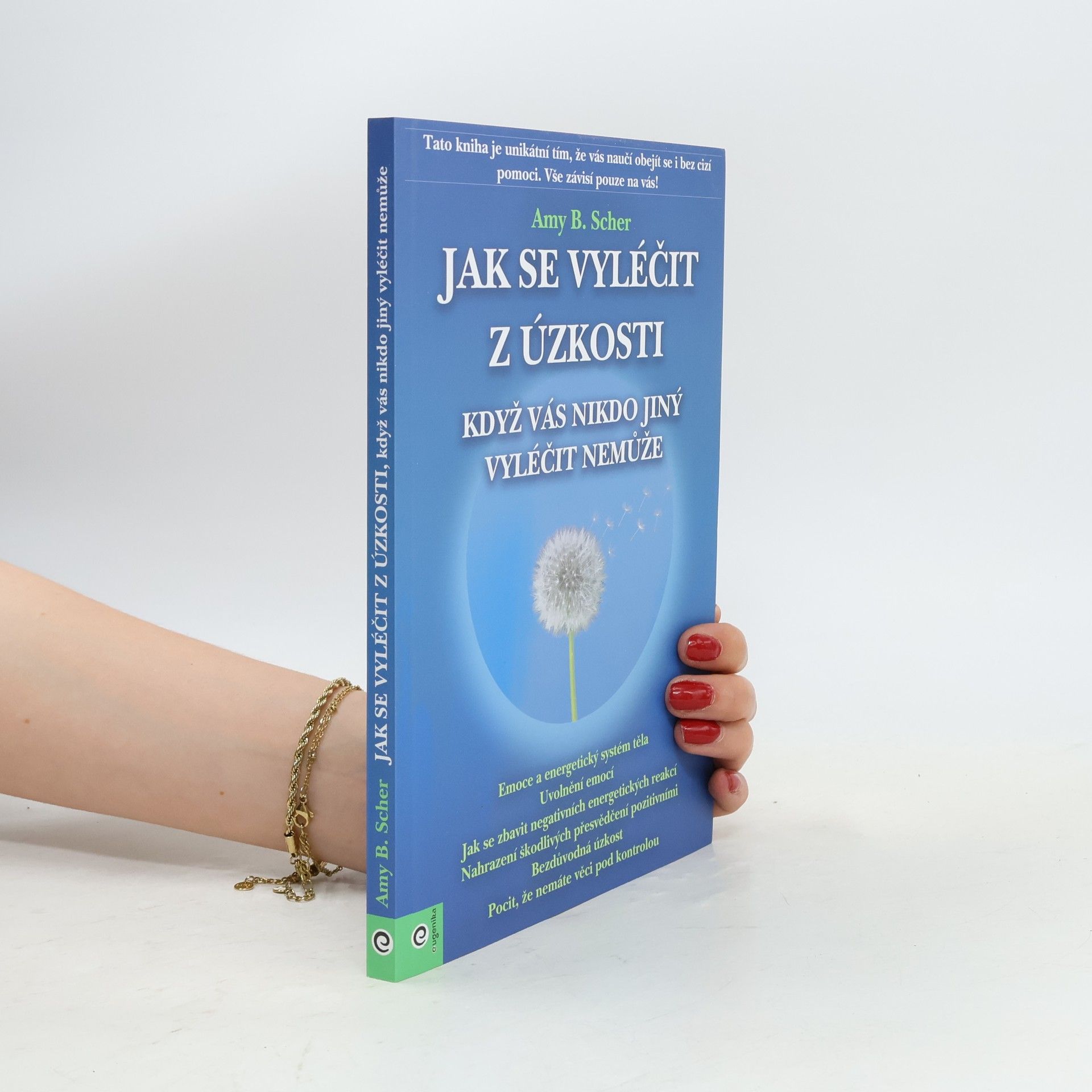 Amy B. Scher Jak se vyléčit z úzkosti, když vás nikdo jiný vyléčit nemůže