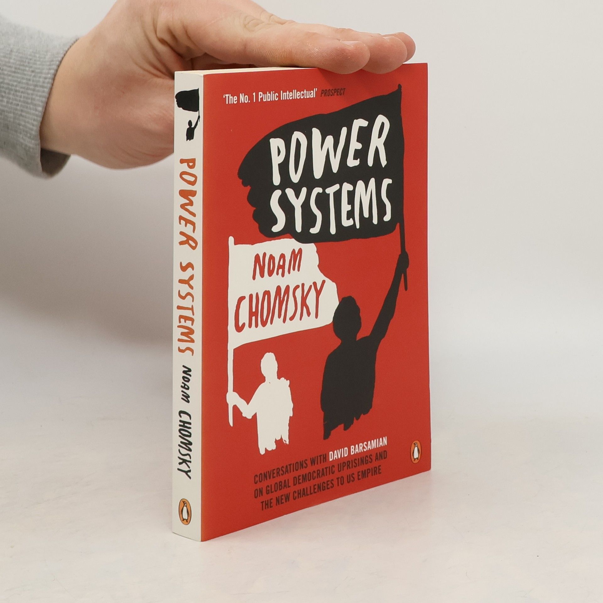 Noam Chomsky Power Systems