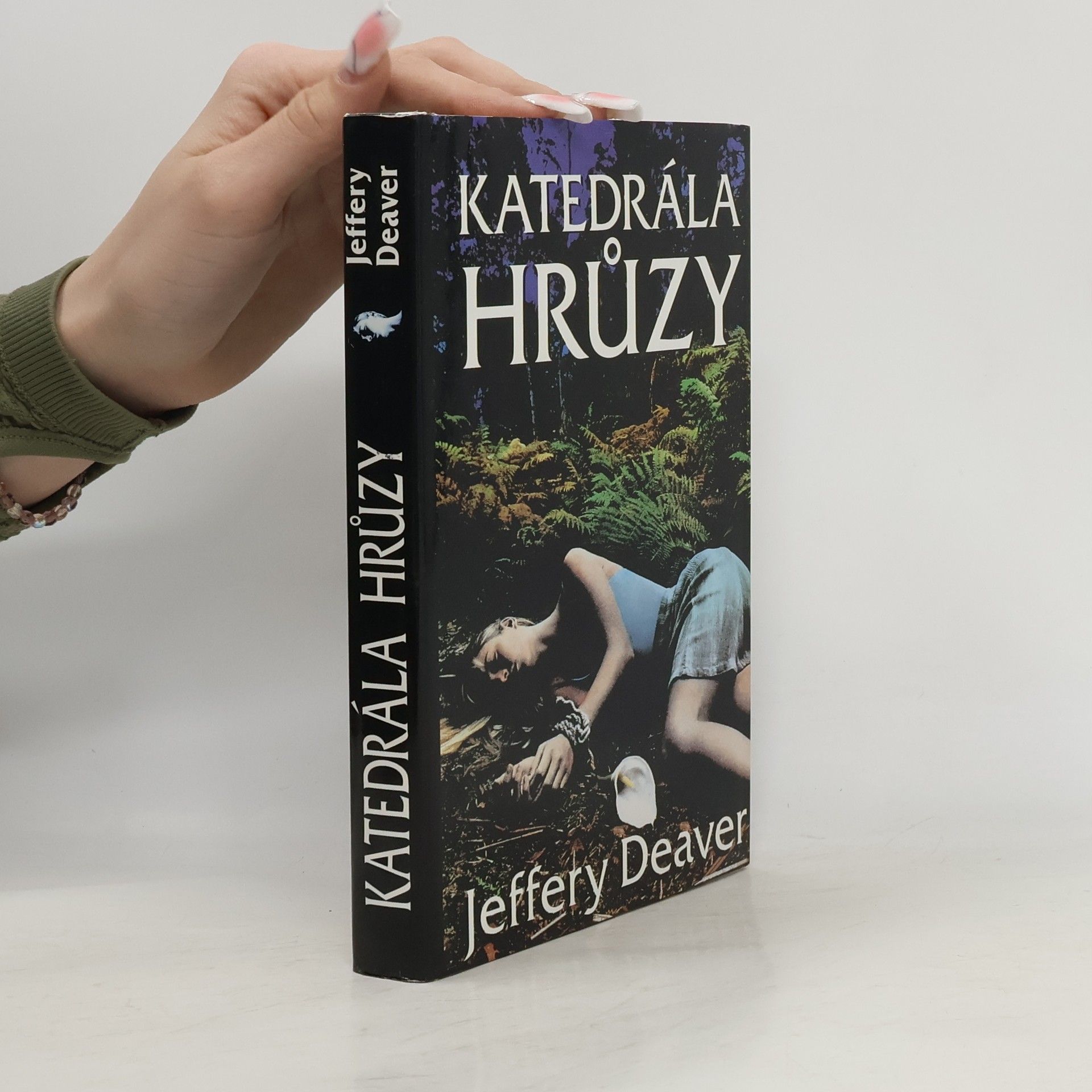 Jeffery Deaver Katedrála hrůzy