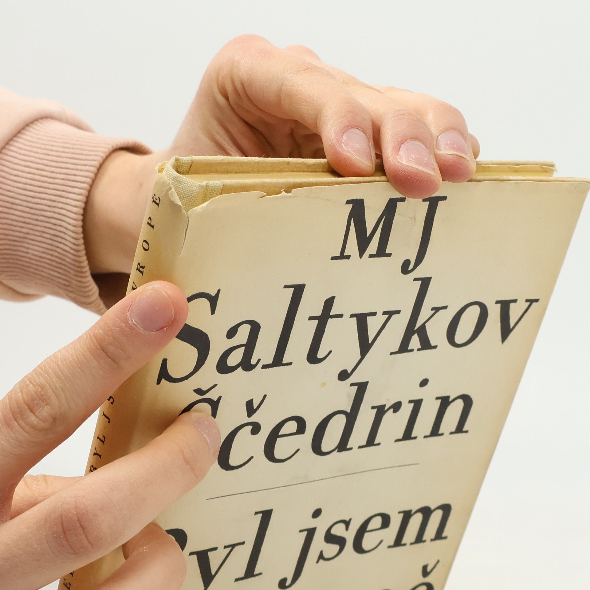 Michail Jevgrafovič Saltykov Ščedrin Byl jsem v Evropě