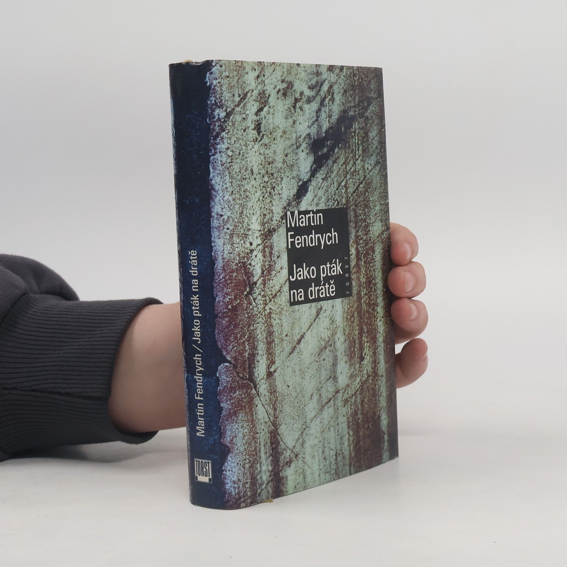 Martin Fendrych Jako pták na drátě