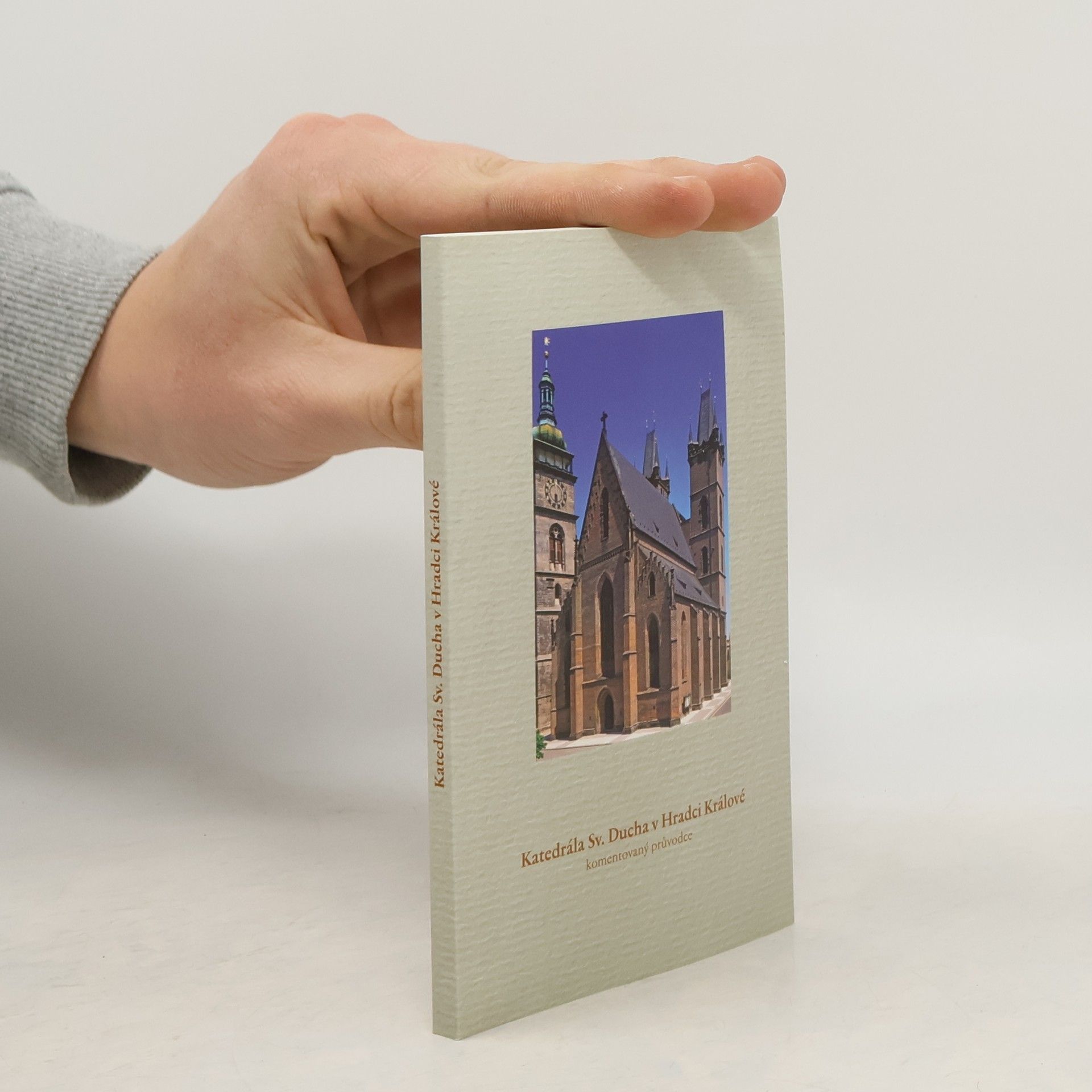 Petr Piťha Katedrála Sv. Ducha v Hradci Králové. Komentovaný průvodce