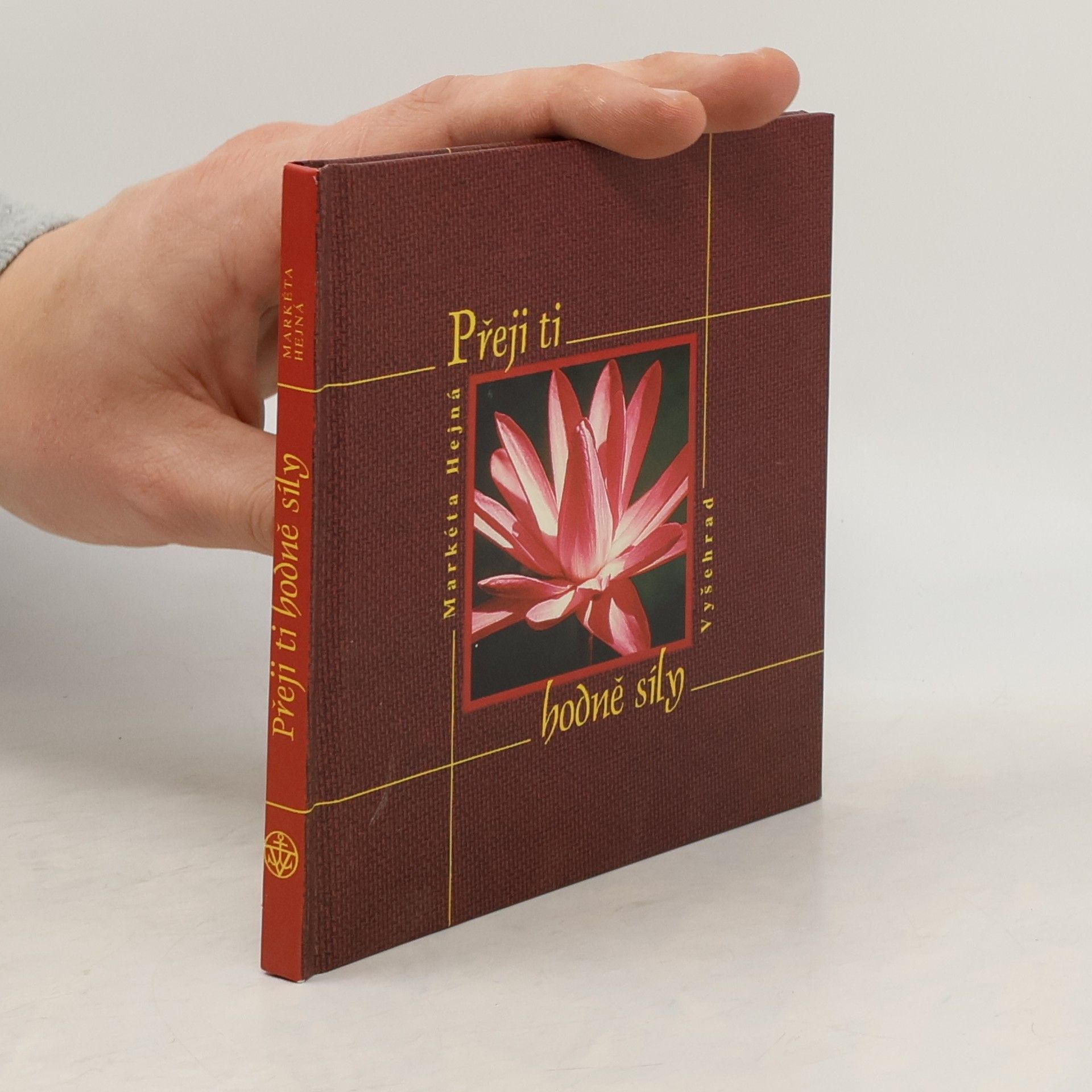 Markéta Hejná Přeji ti hodně síly