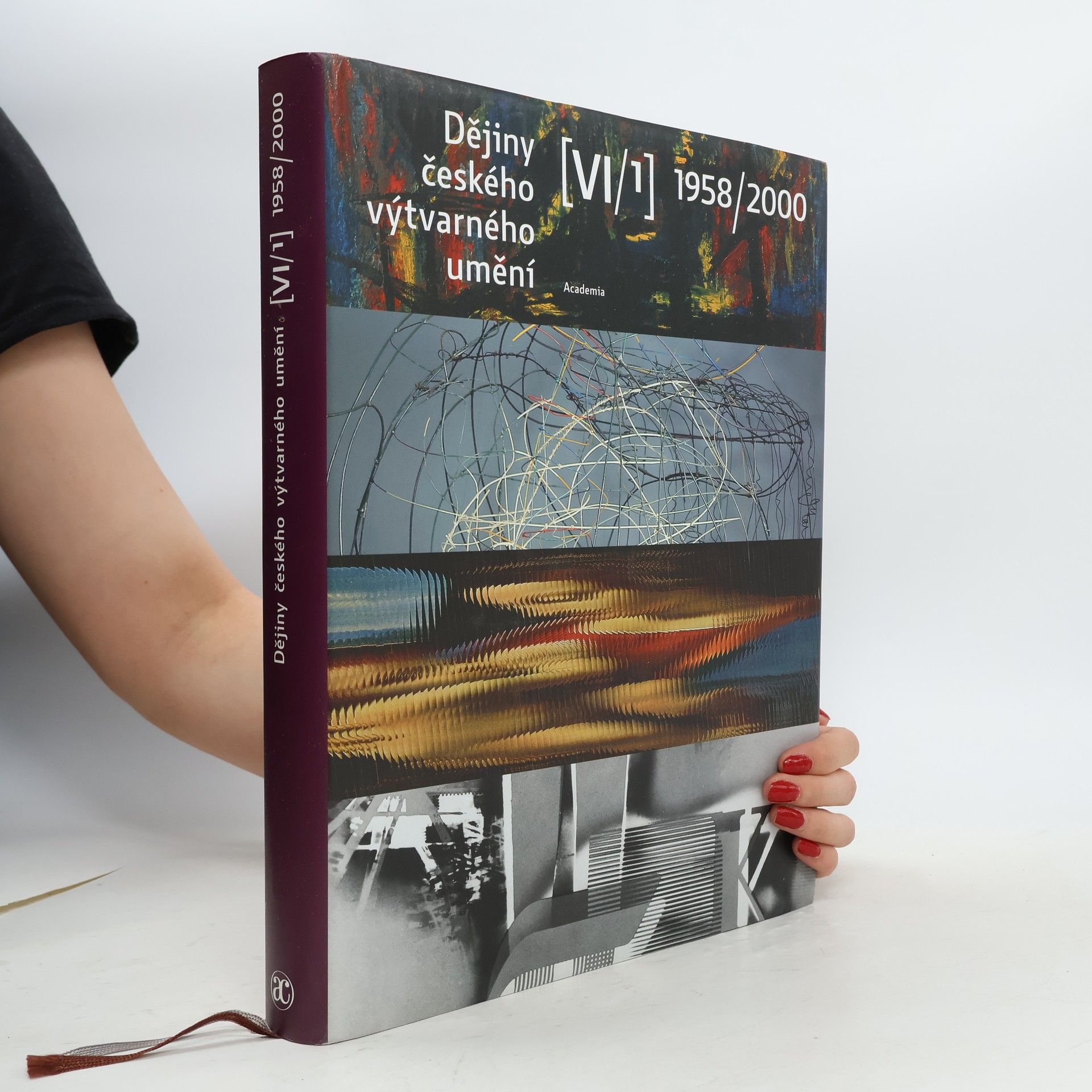 Marie Platovská Dějiny českého výtvarného umění 1958-2000 VI./1