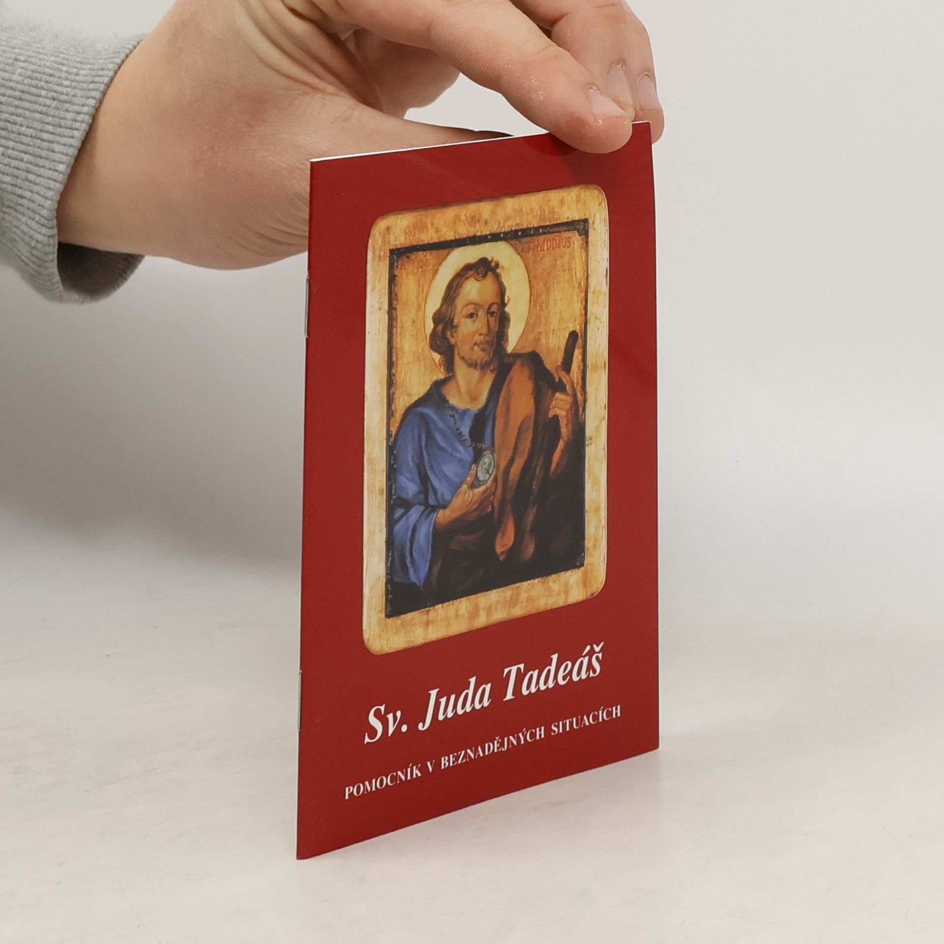 Kolektiv autorů Sv. Juda Tadeáš. Pomocník v beznadějných situacích