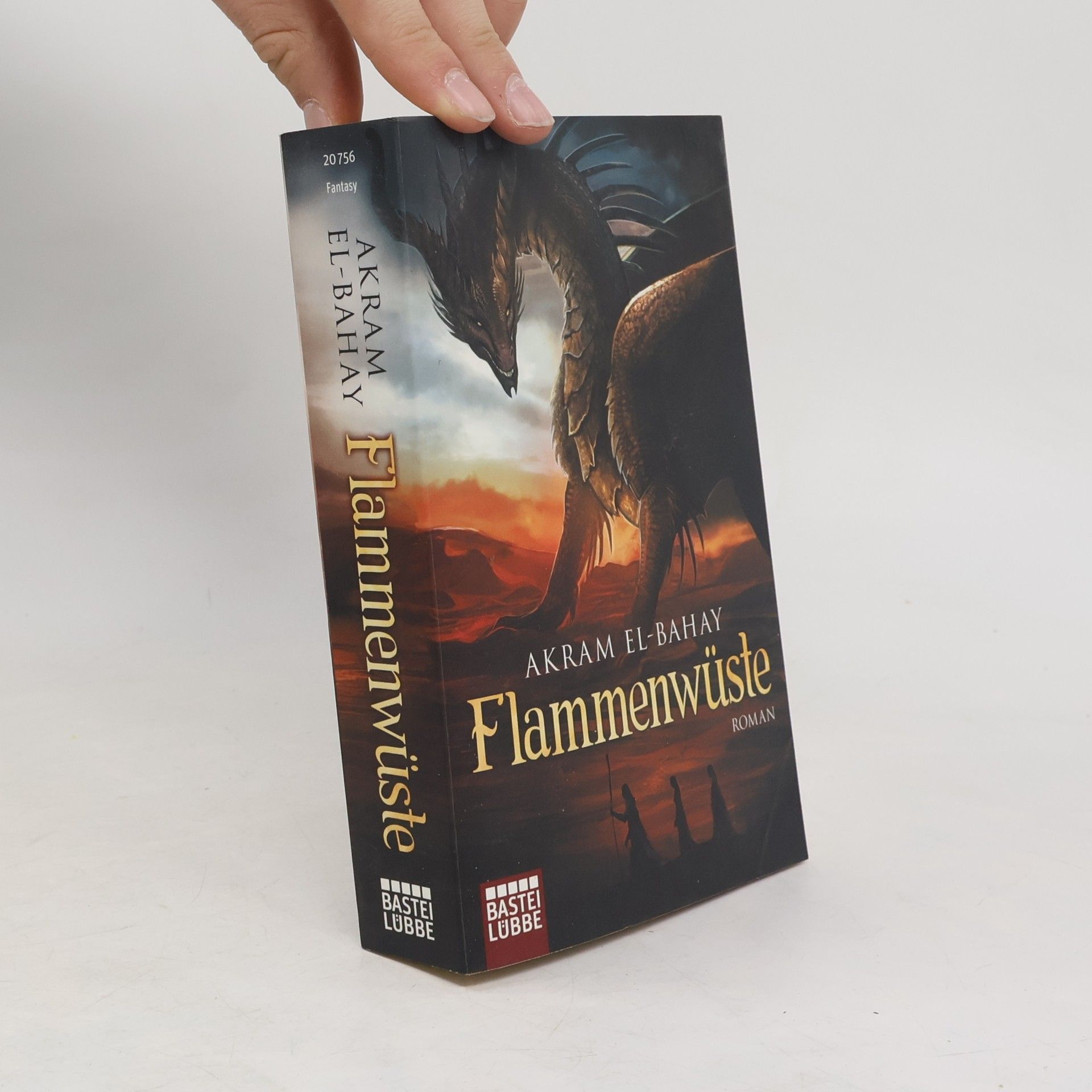 Akram El-Bahay Flammenwüste