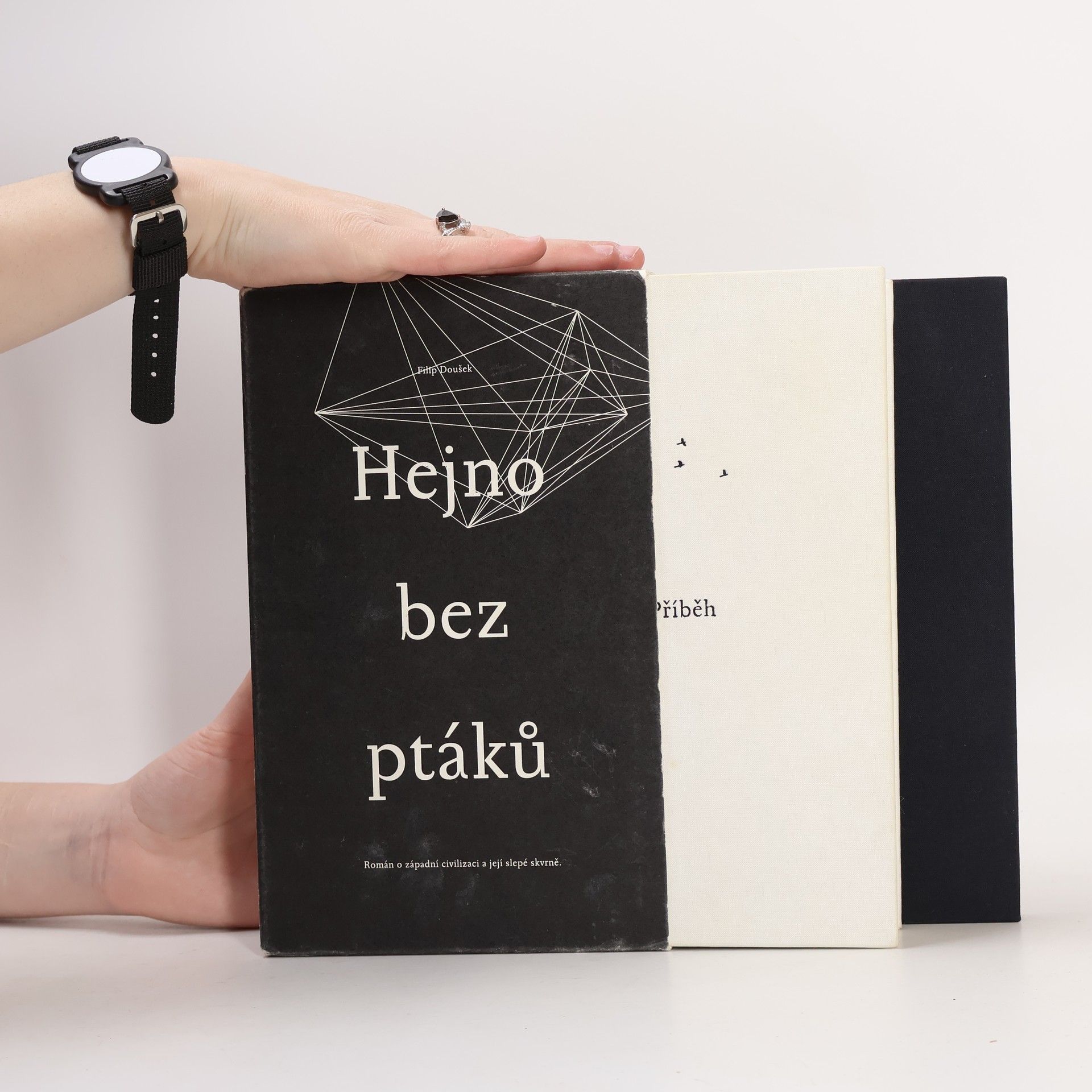 Filip Doušek Hejno bez ptáků