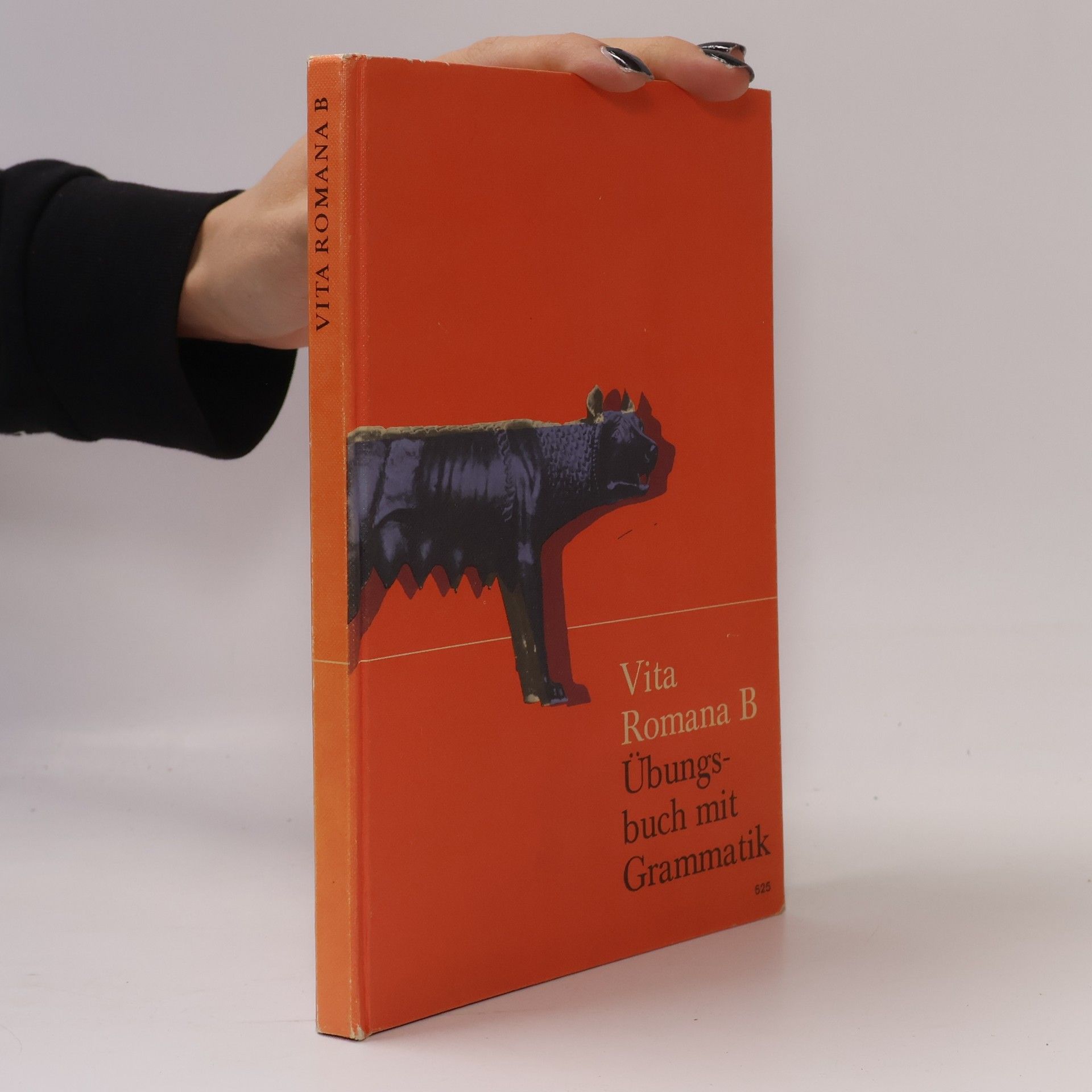 Fritz Haeger Vita Romana B: Übungsbuch mit Grammatik