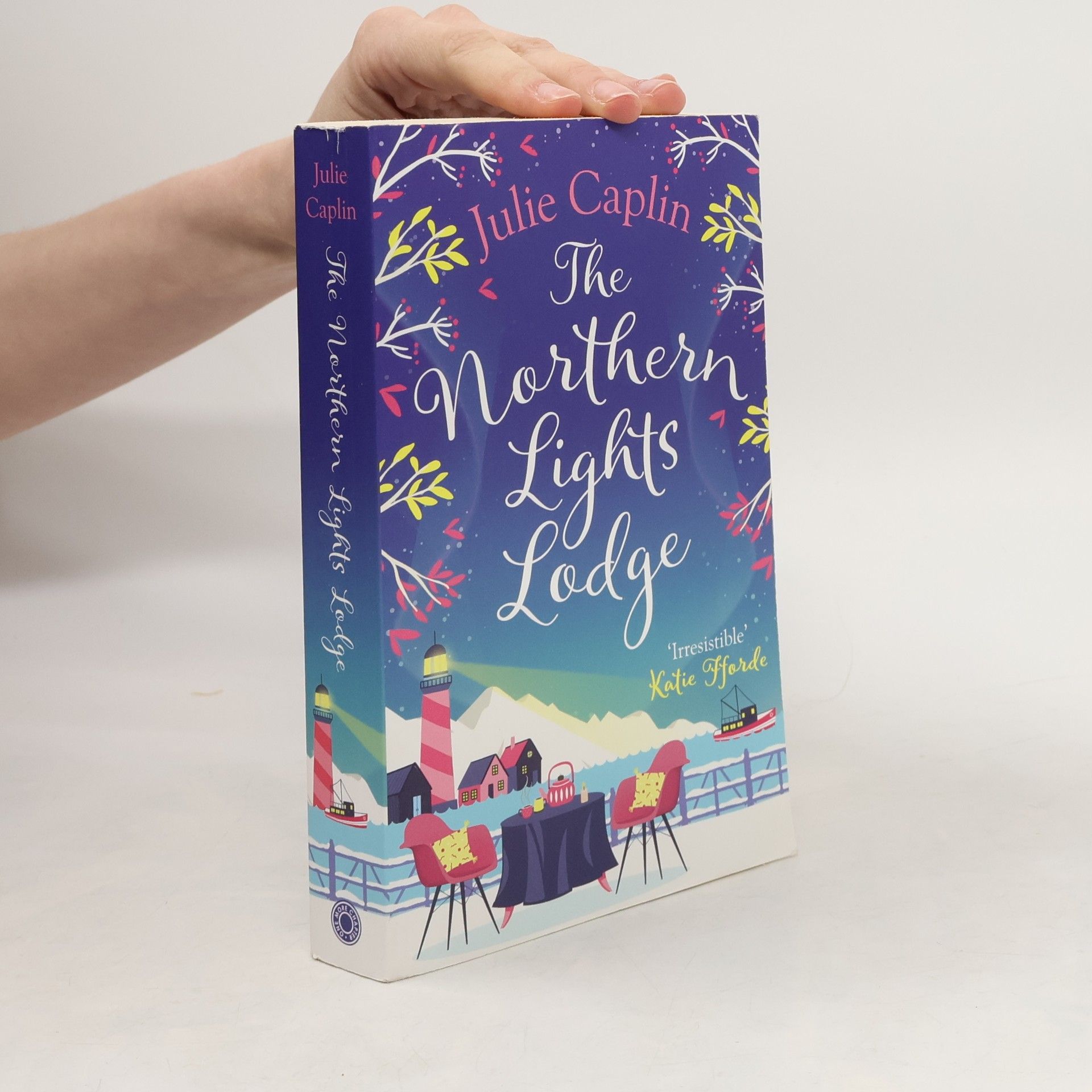 Julie Caplin The Northern Lights Lodge