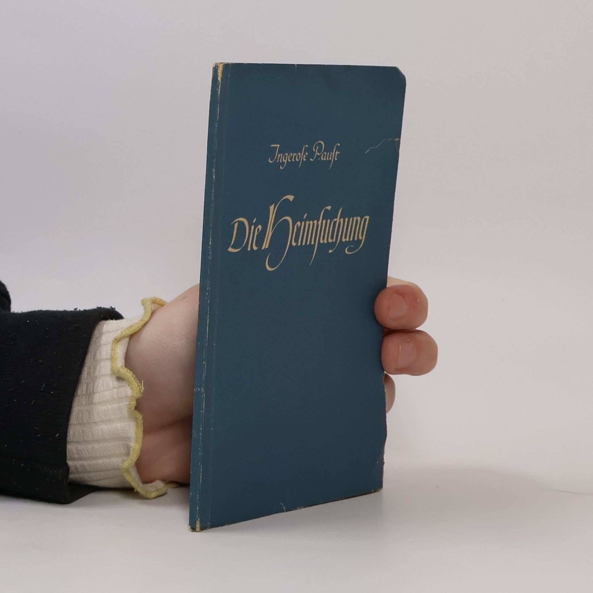 Ingerose Paust Die Heimsuchung