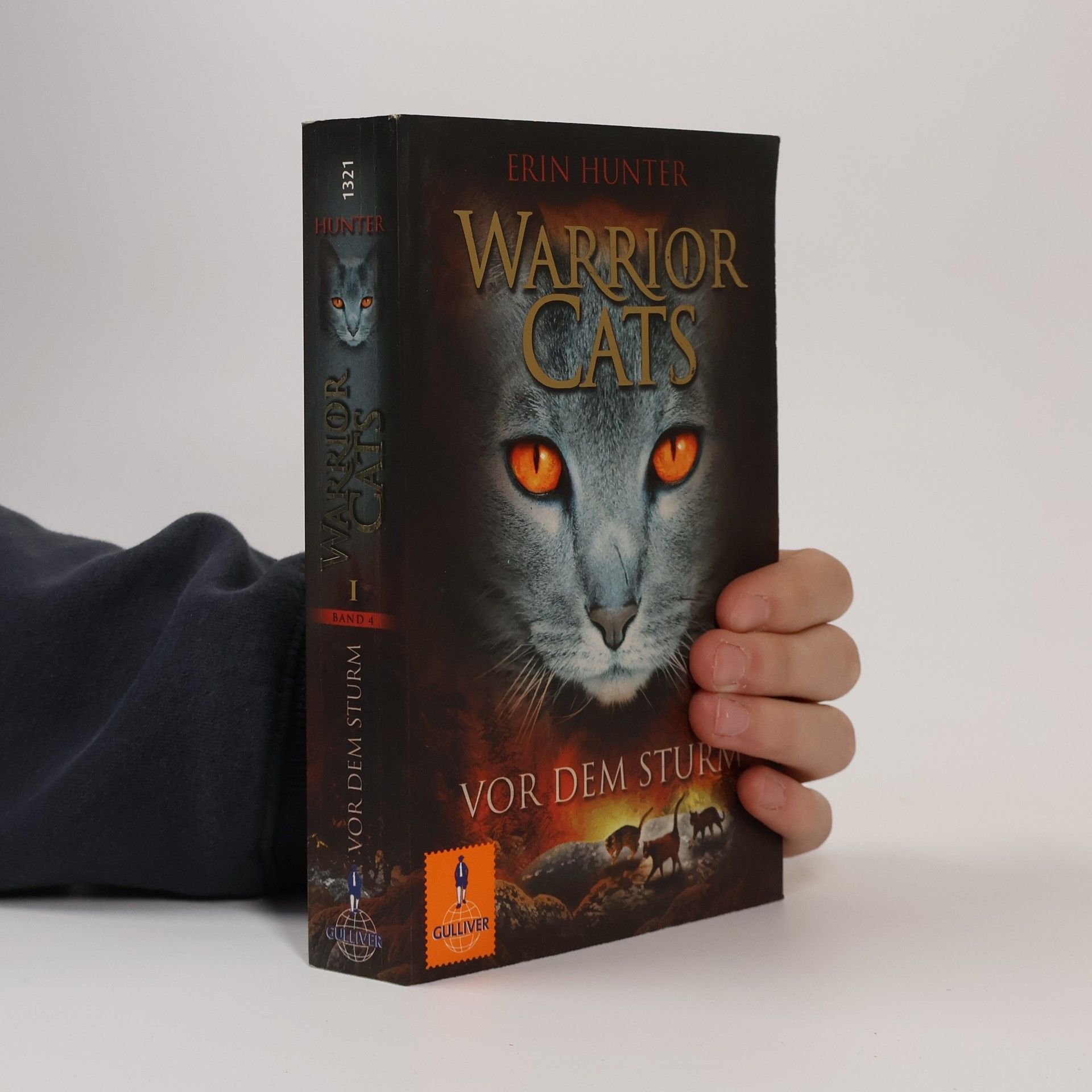 Erin Hunter Warrior Cats. Vor dem Sturm