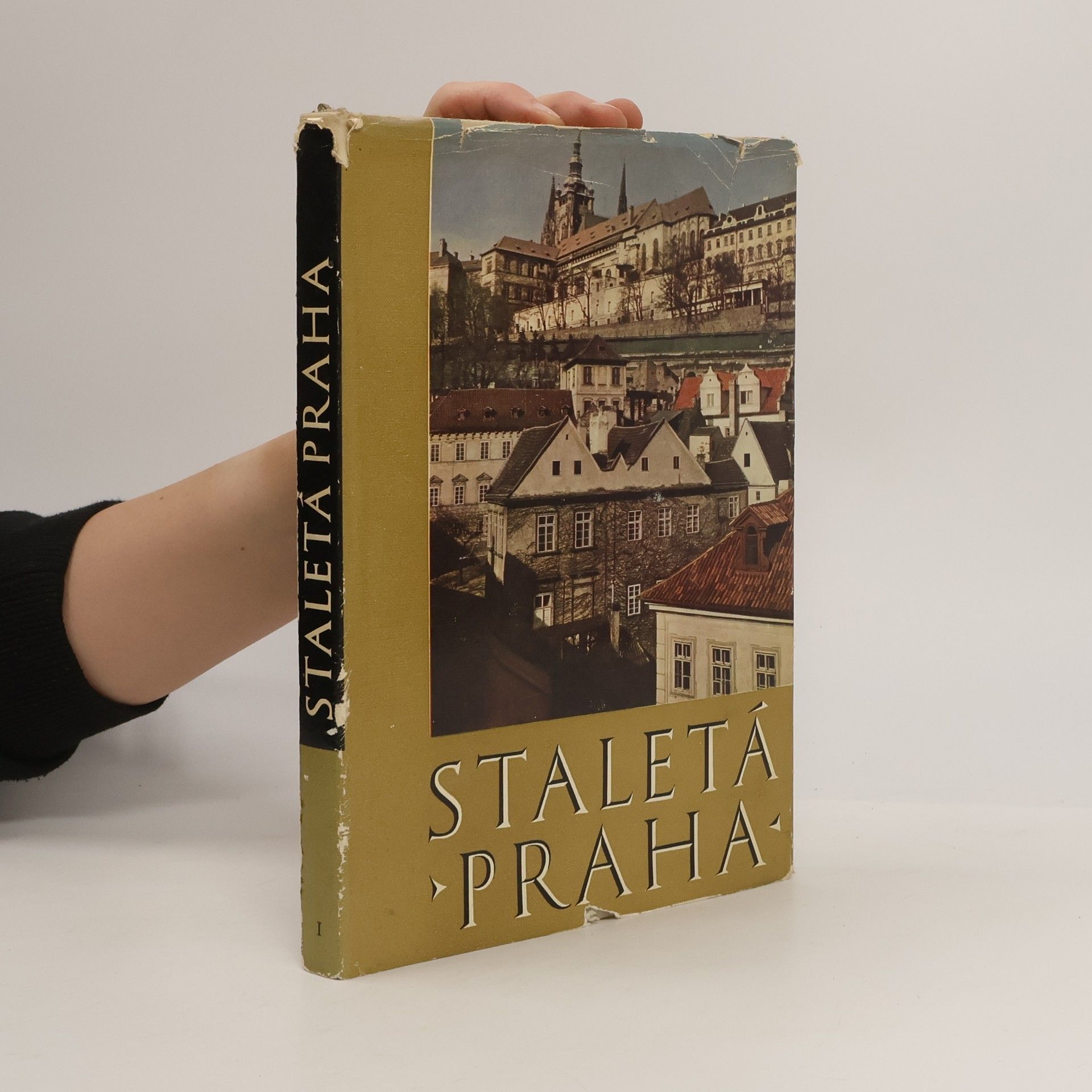 Kolektiv autorů Staletá Praha