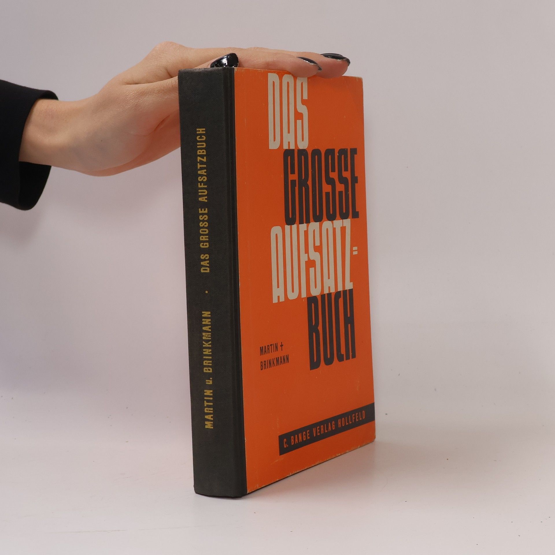 Martin Brinkmann Das grosse Aufsatzbuch