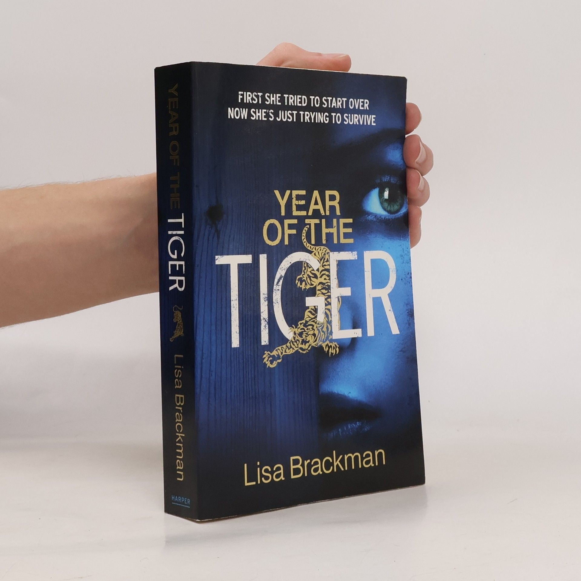 Lisa Brackmann Year of the Tiger