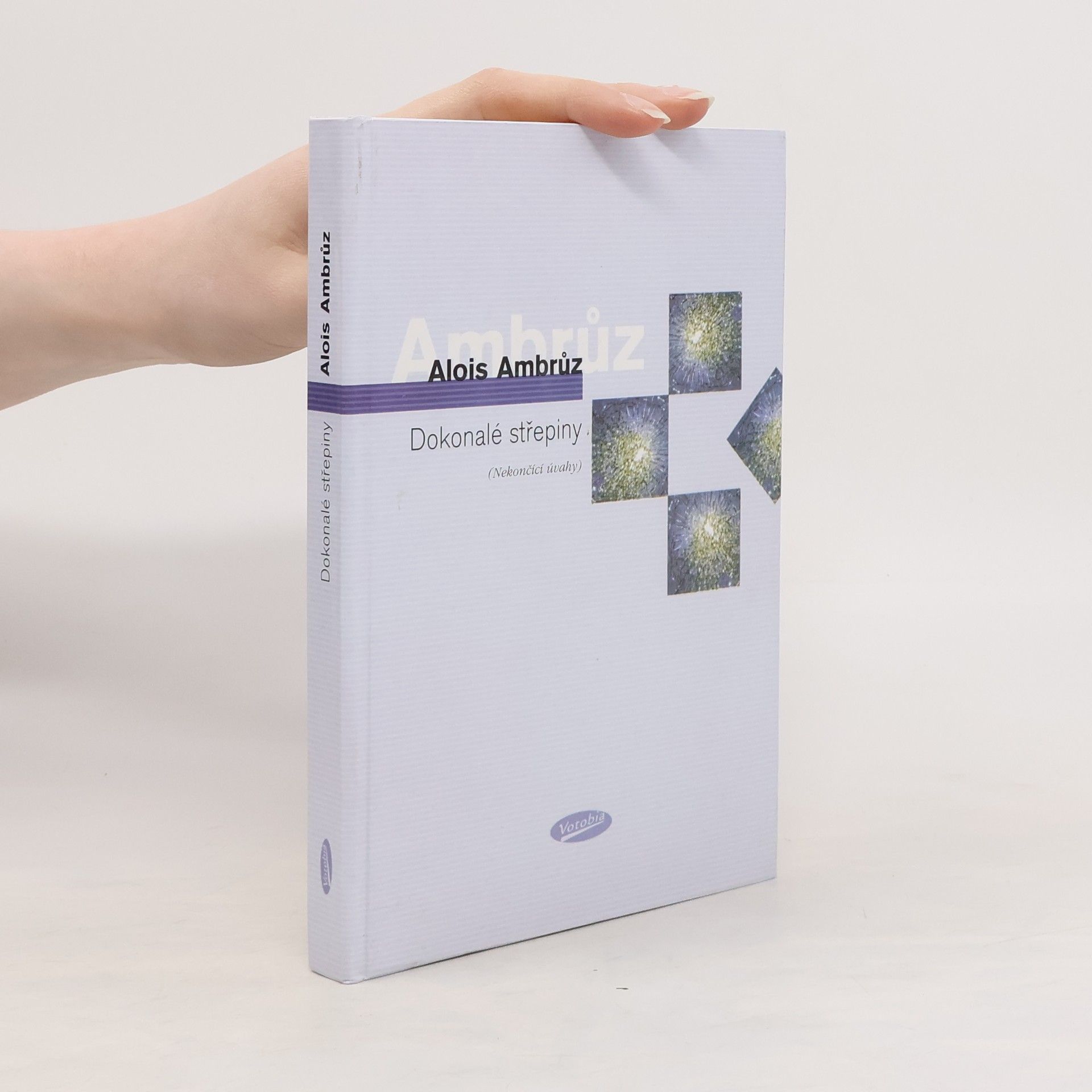 Alois Ambrůz Dokonalé střepiny