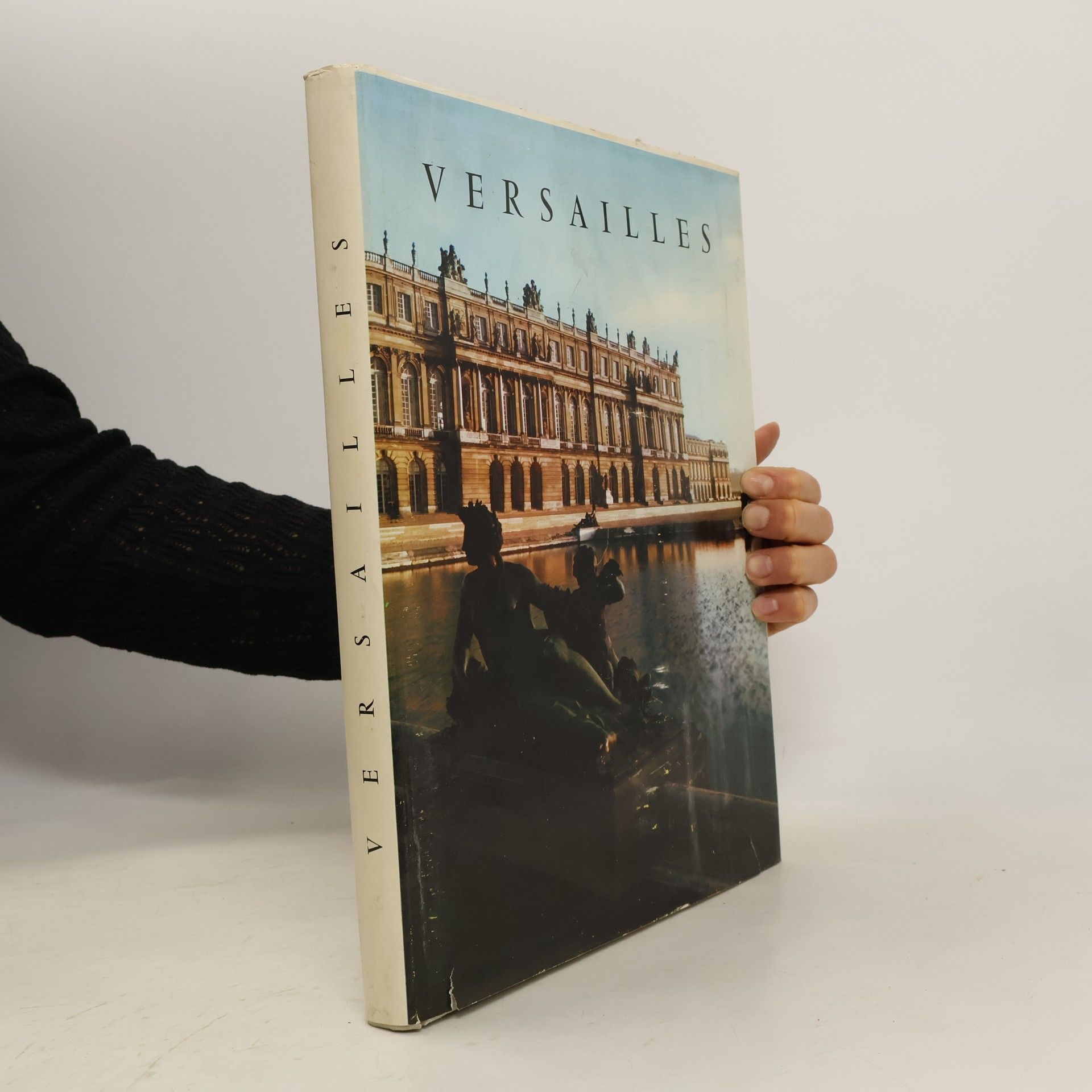 René Pichard du Page Versailles